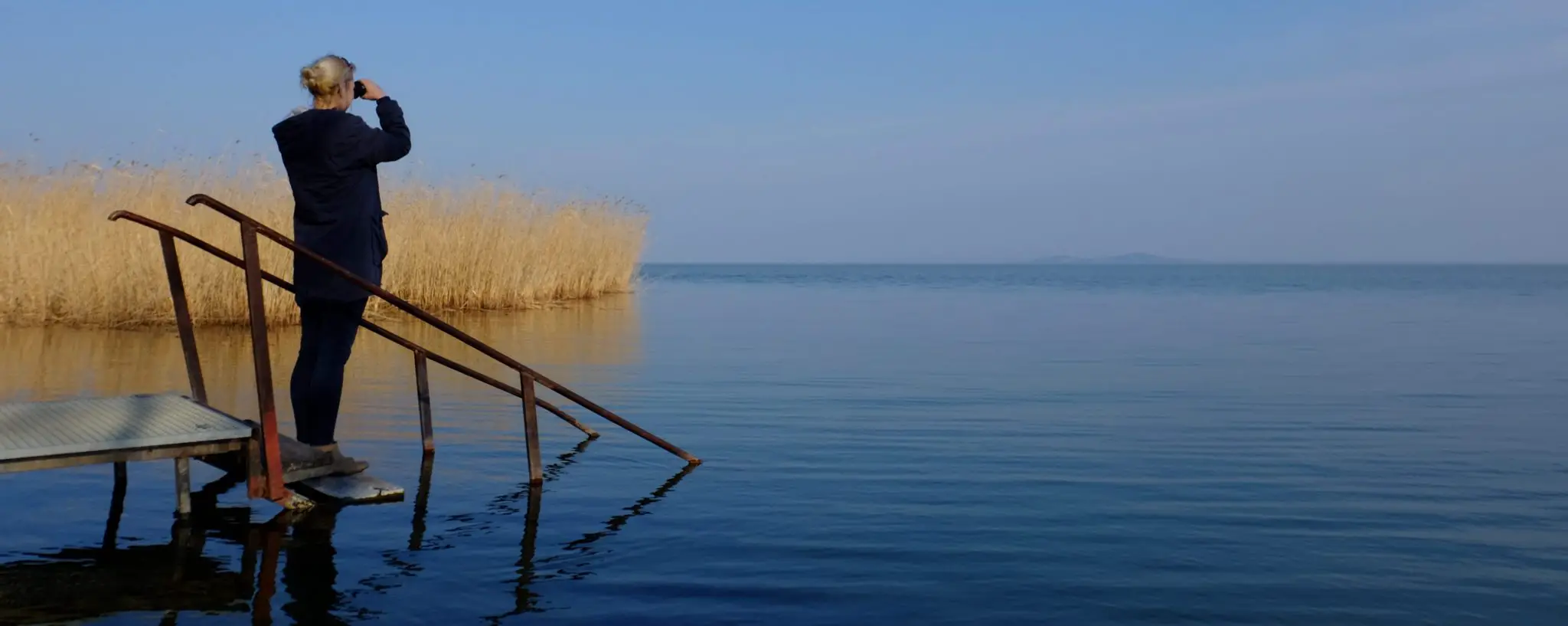 Birdwatching at Lake Balaton