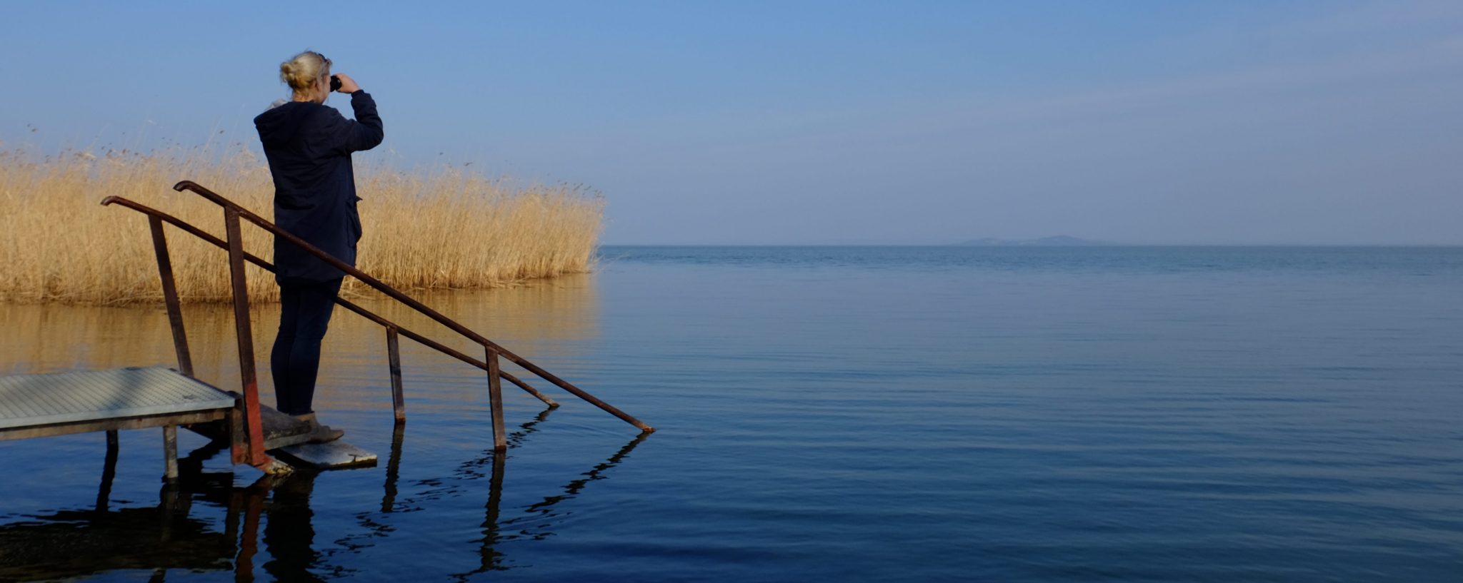 Birdwatching at Lake Balaton