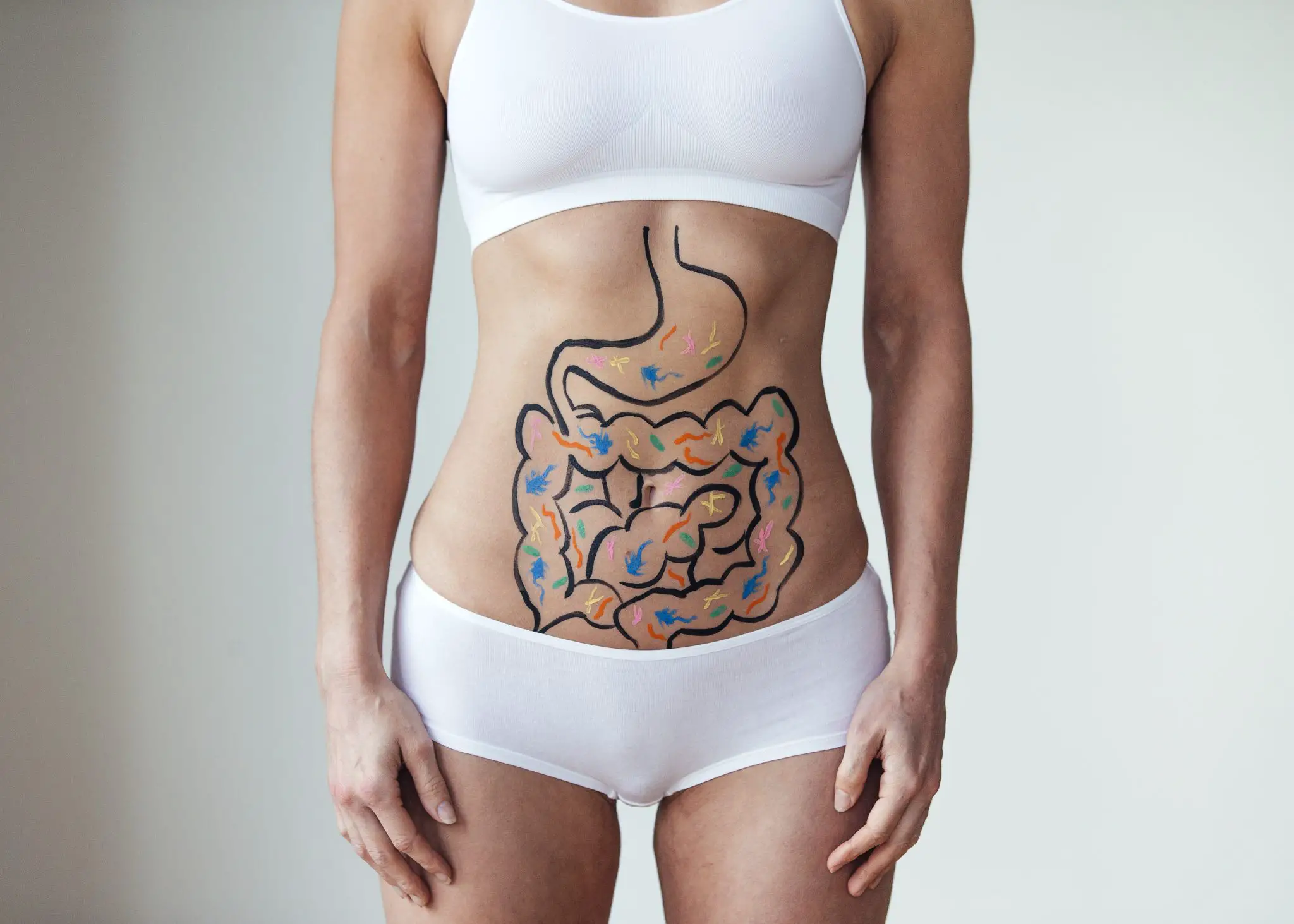 Woman with an illustration on her stomach of her intestines