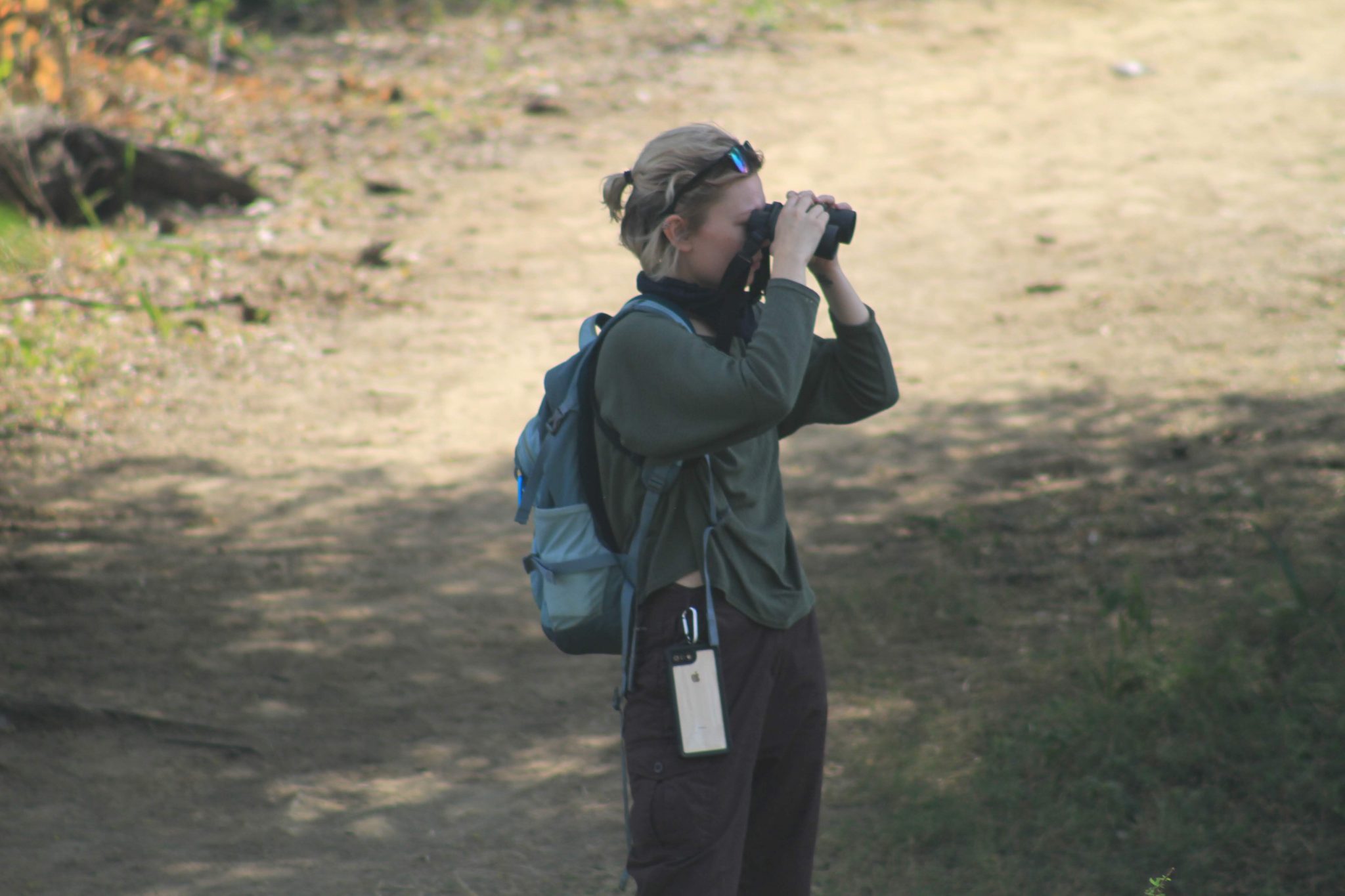 Birdwatching in Keoladeo National Park in India