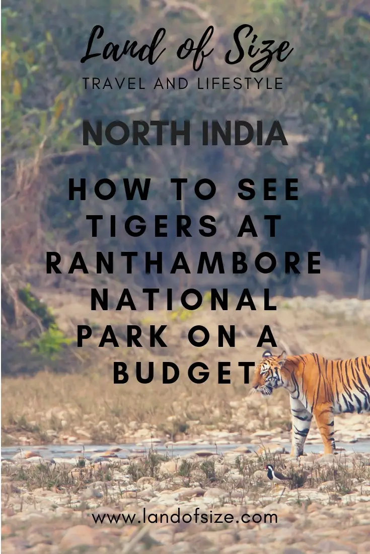 How to visit Ranthambore National Park to see tigers on a backpacker budget