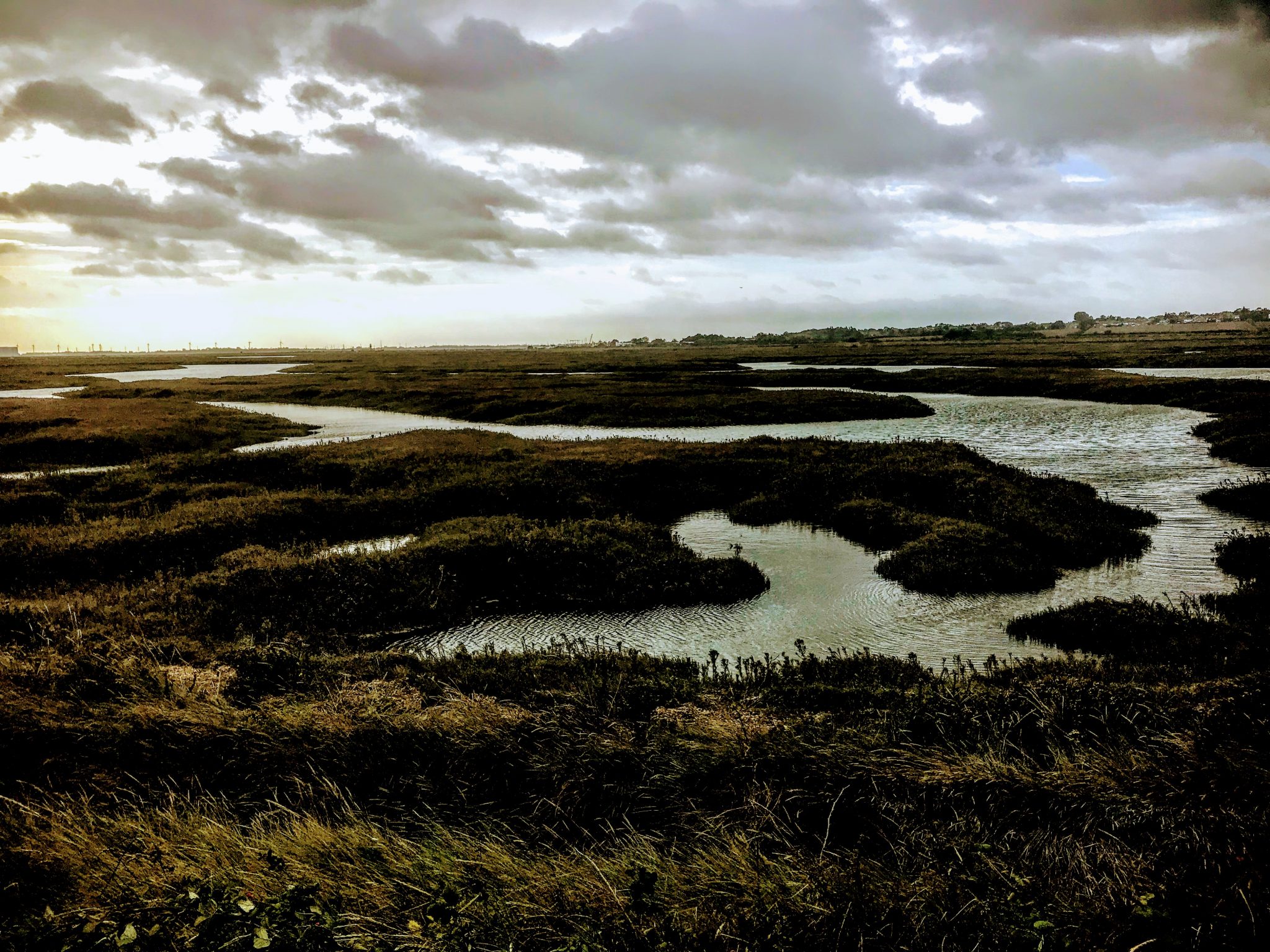 Old Hall Marshes, Essex