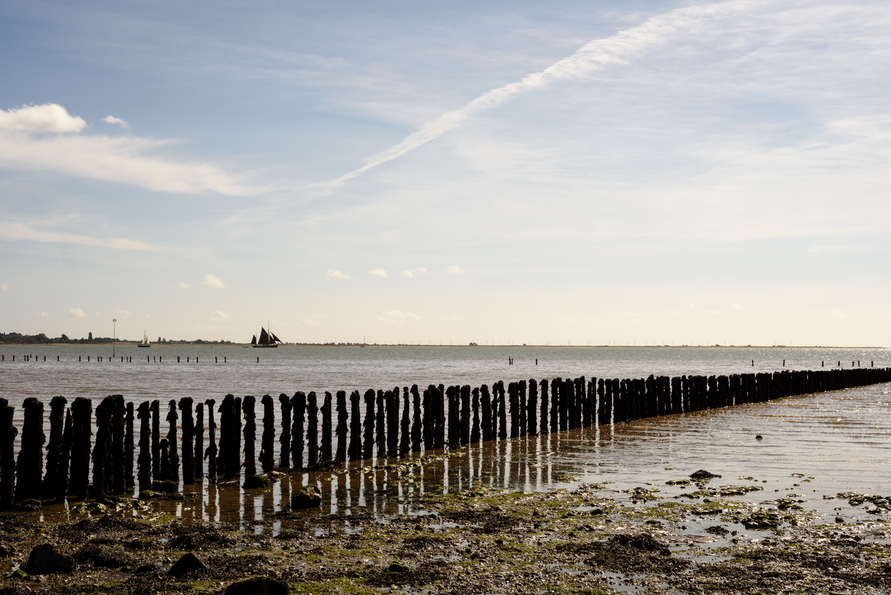 Wooden Beach Defences at Cudmore Grove Mersea