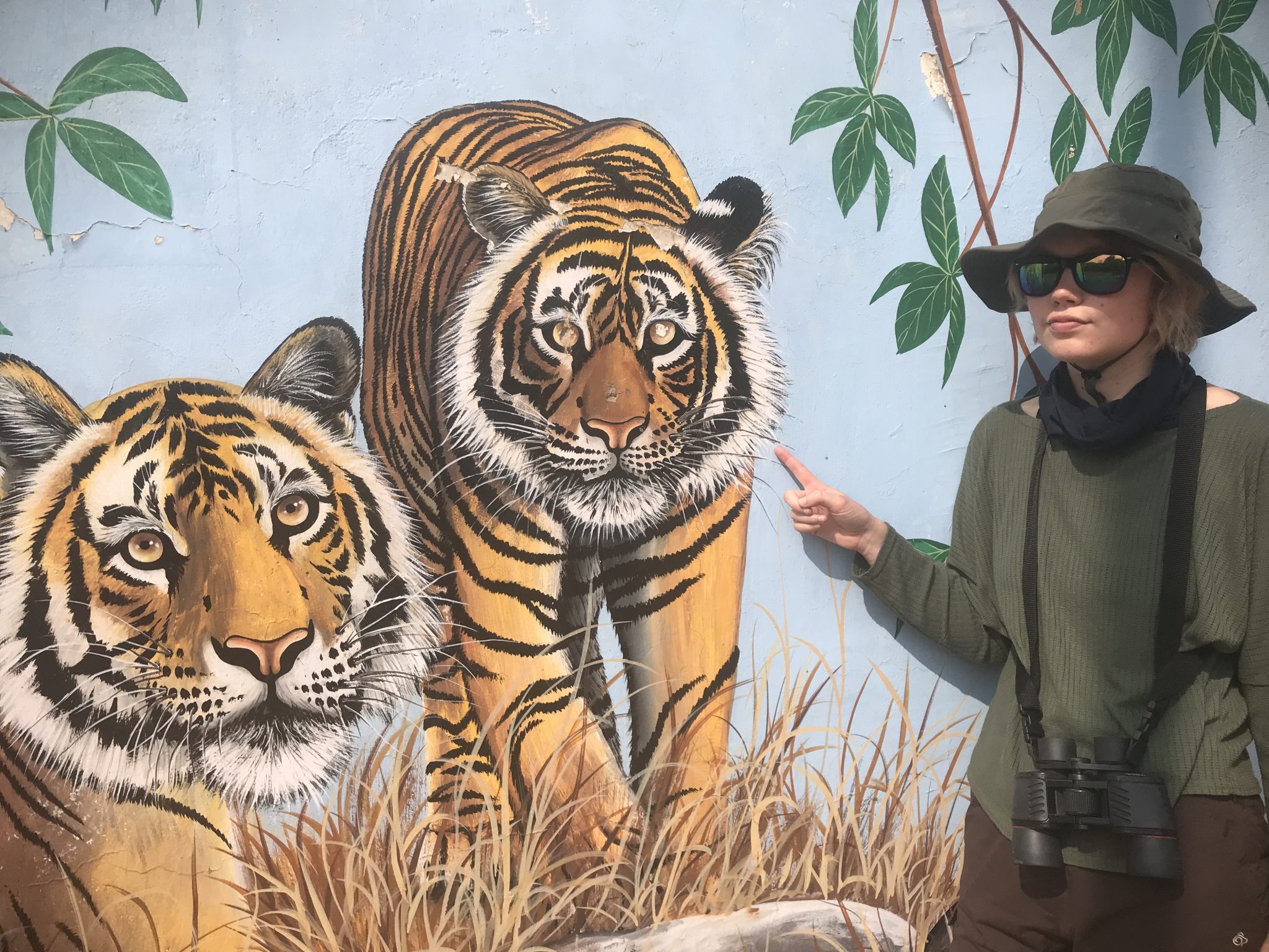 Tiger mural, Ranthambore National Park, India