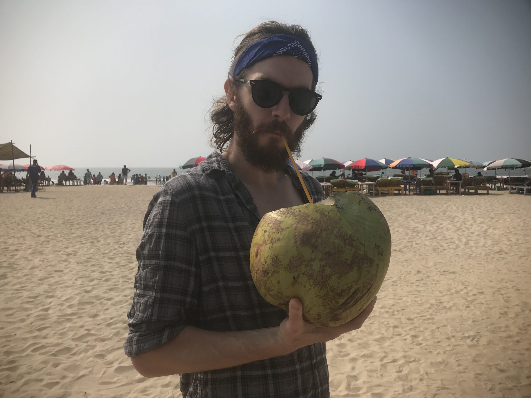 Giant coconut, Goa