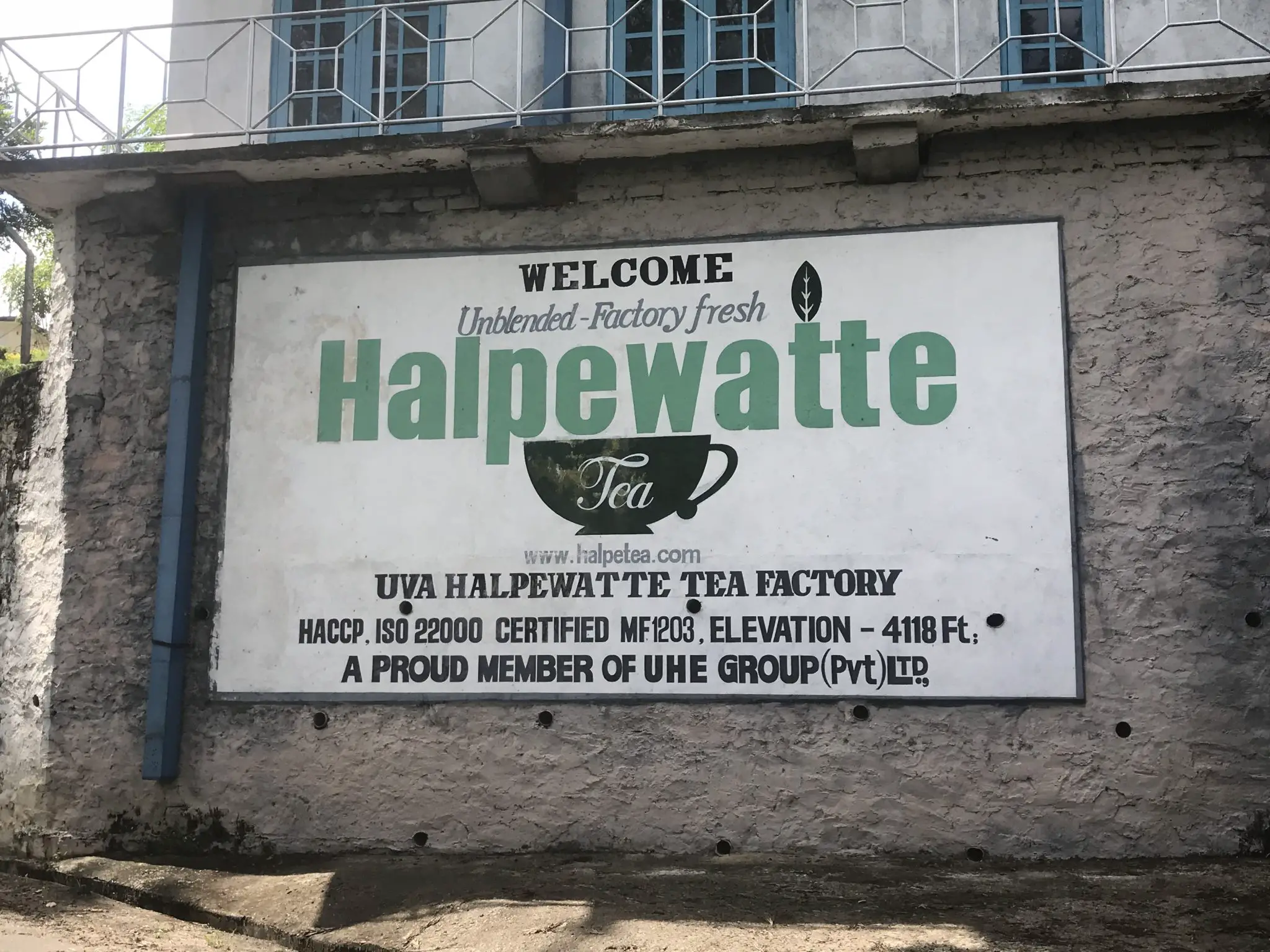Halpewatte Tea Factory. Ella, Sri Lanka