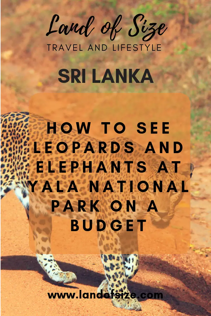 Your guide to leopard and elephant spotting at Yala National Park in Sri Lanka