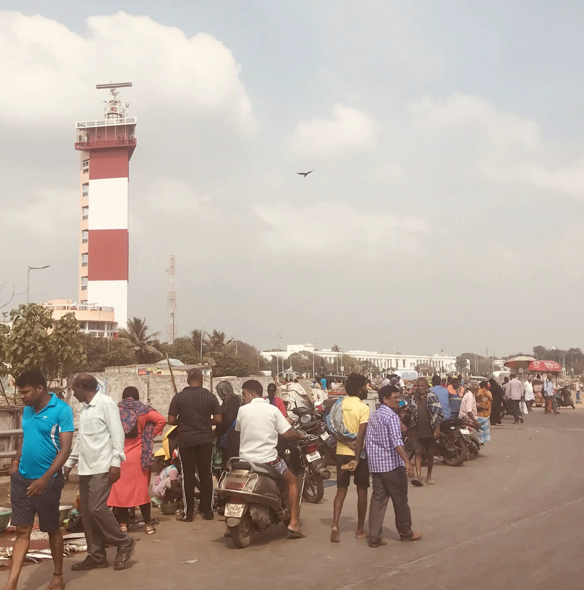 Chennai lighthouse and fish market 