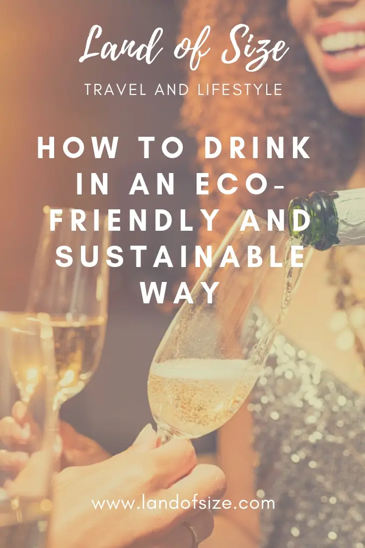 How to drink alcohol in an eco-friendly and sustainable way