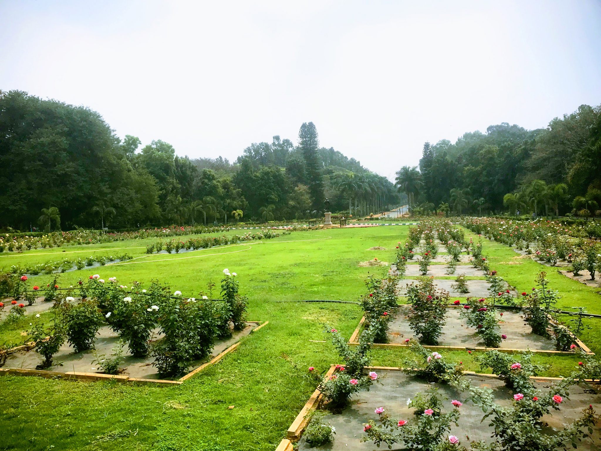 Sri Chamarajendra Park aka Cubbon Park, Bangalore