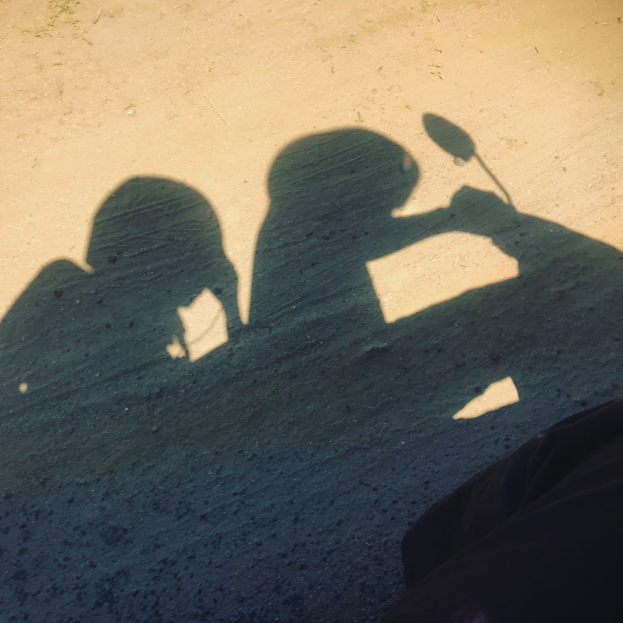 Shadow of moped, Munnar, South India