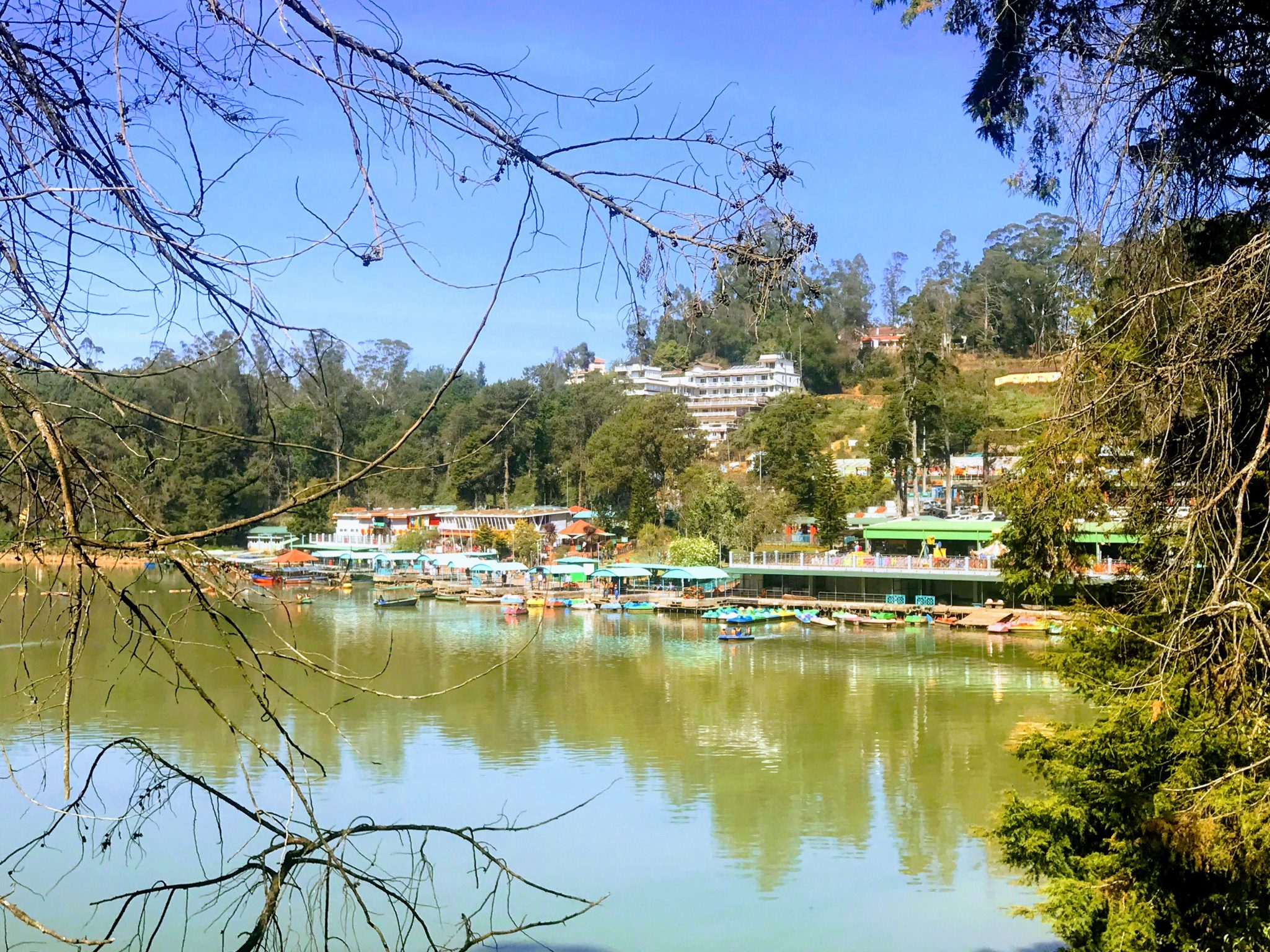 Colourful boats on Ooty Lake, Tamil Nadu