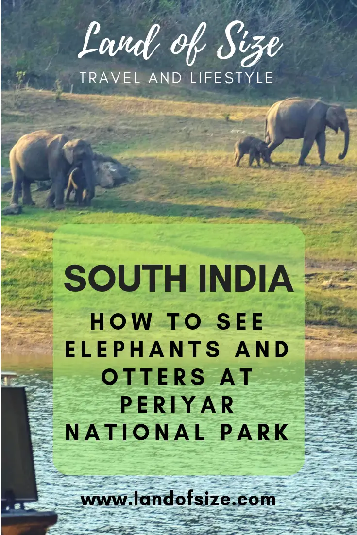 How to see elephants and otters at Periyar National Park in South India -  Land of Size