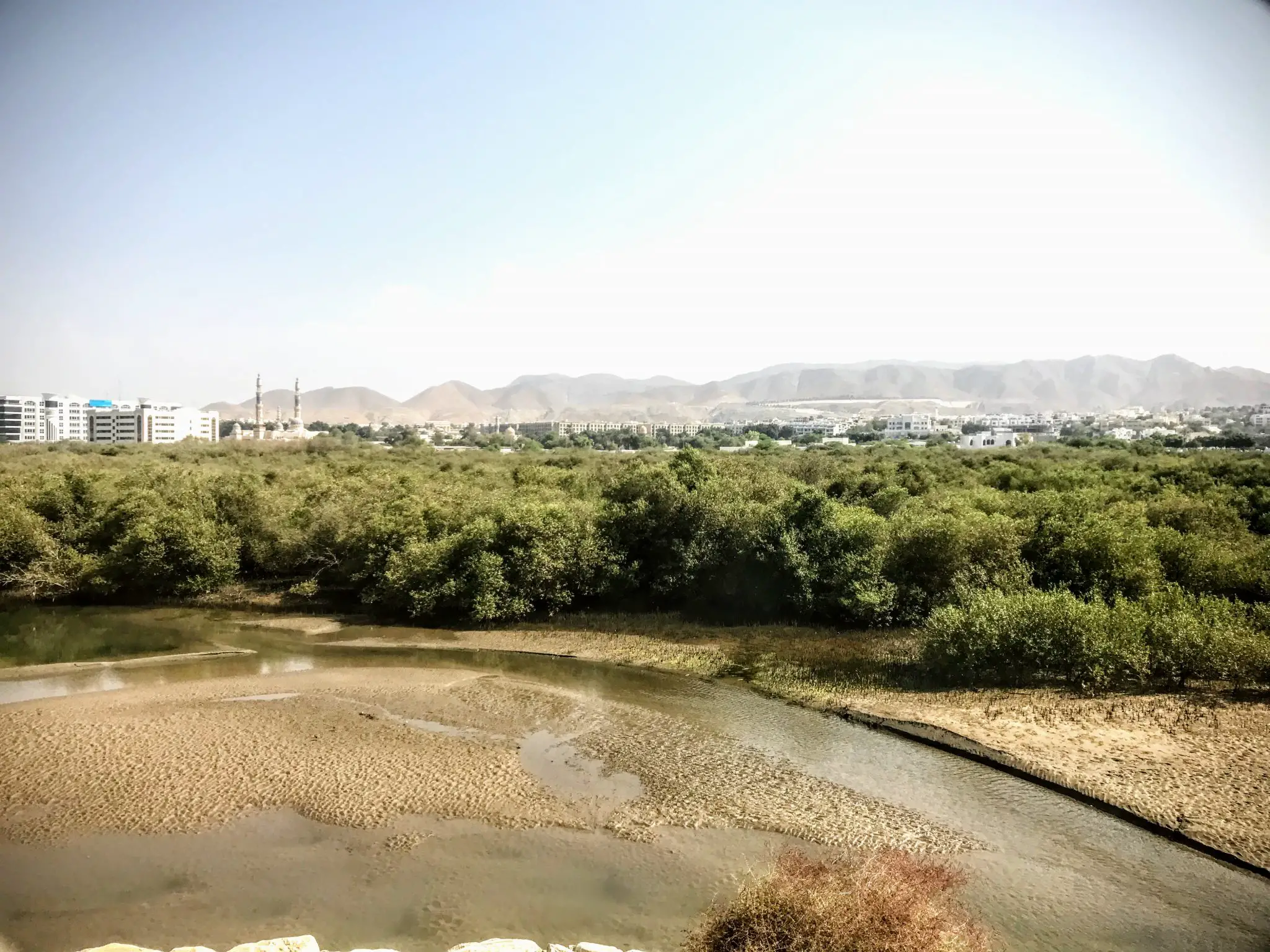 Qurm nature reserve, Muscat, Oman