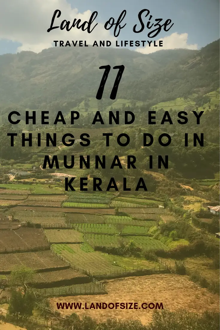 11 easy and cheap things to do in Munnar in South India