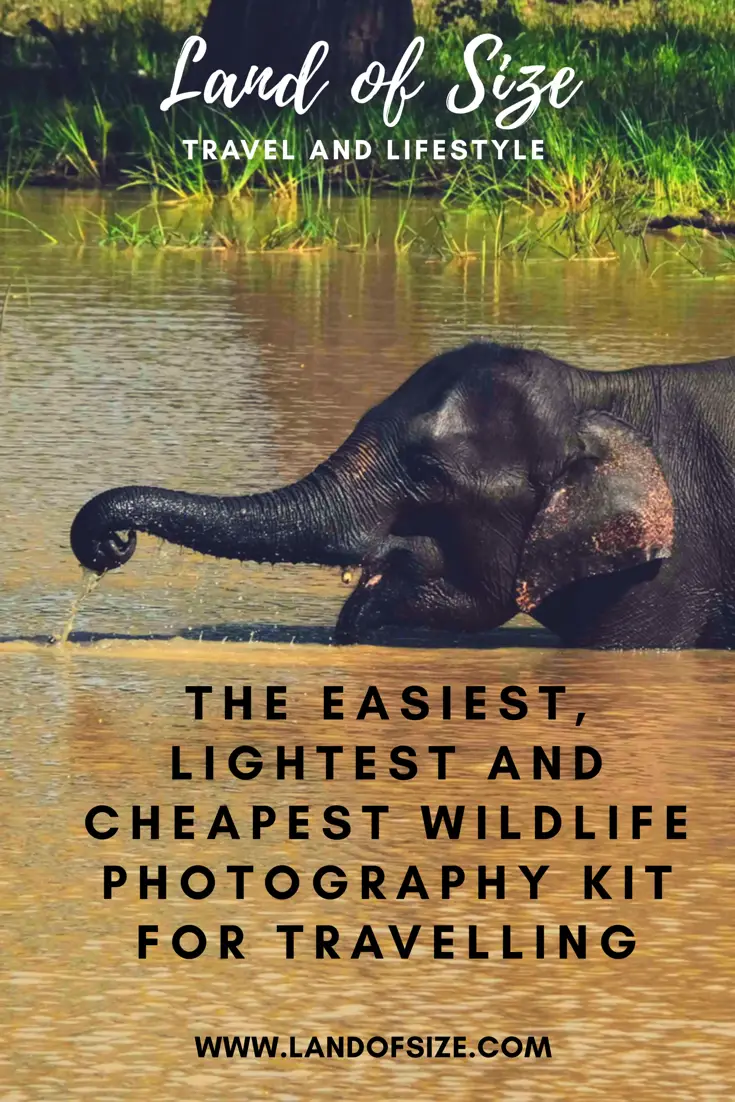 The easiest, lightest and cheapest wildlife photography kit for travelling