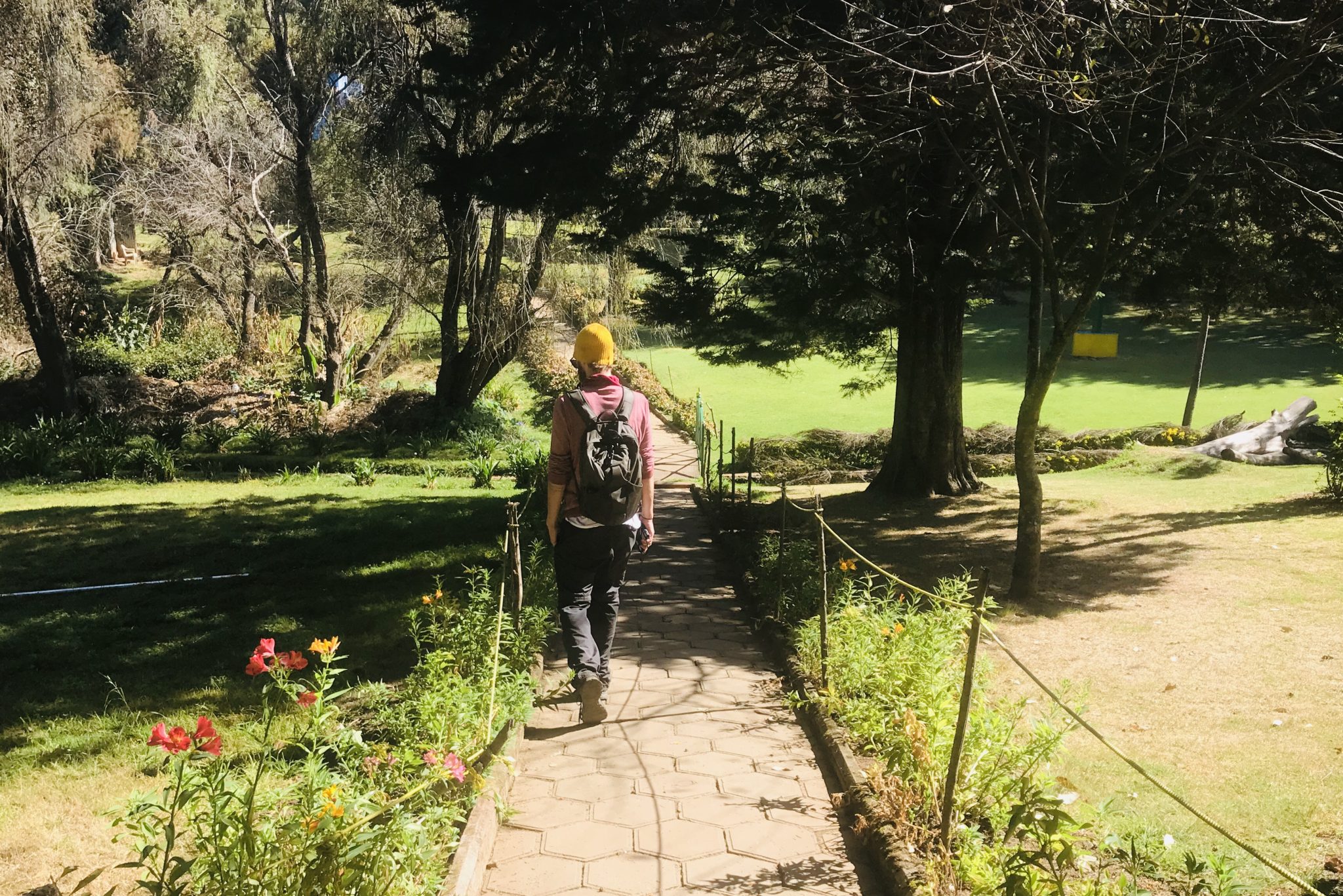 Arboretum tree garden near Fern Hill, Ooty, Tamil Nadu