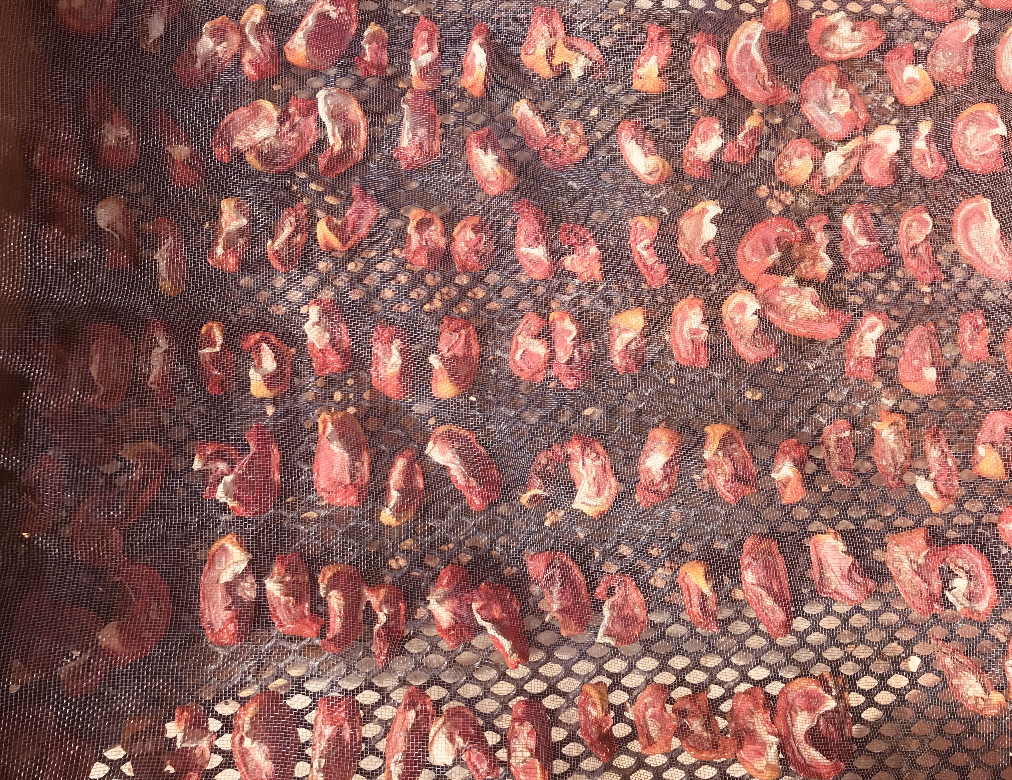 Sundried tomatoes, Place to Bee, Ooty