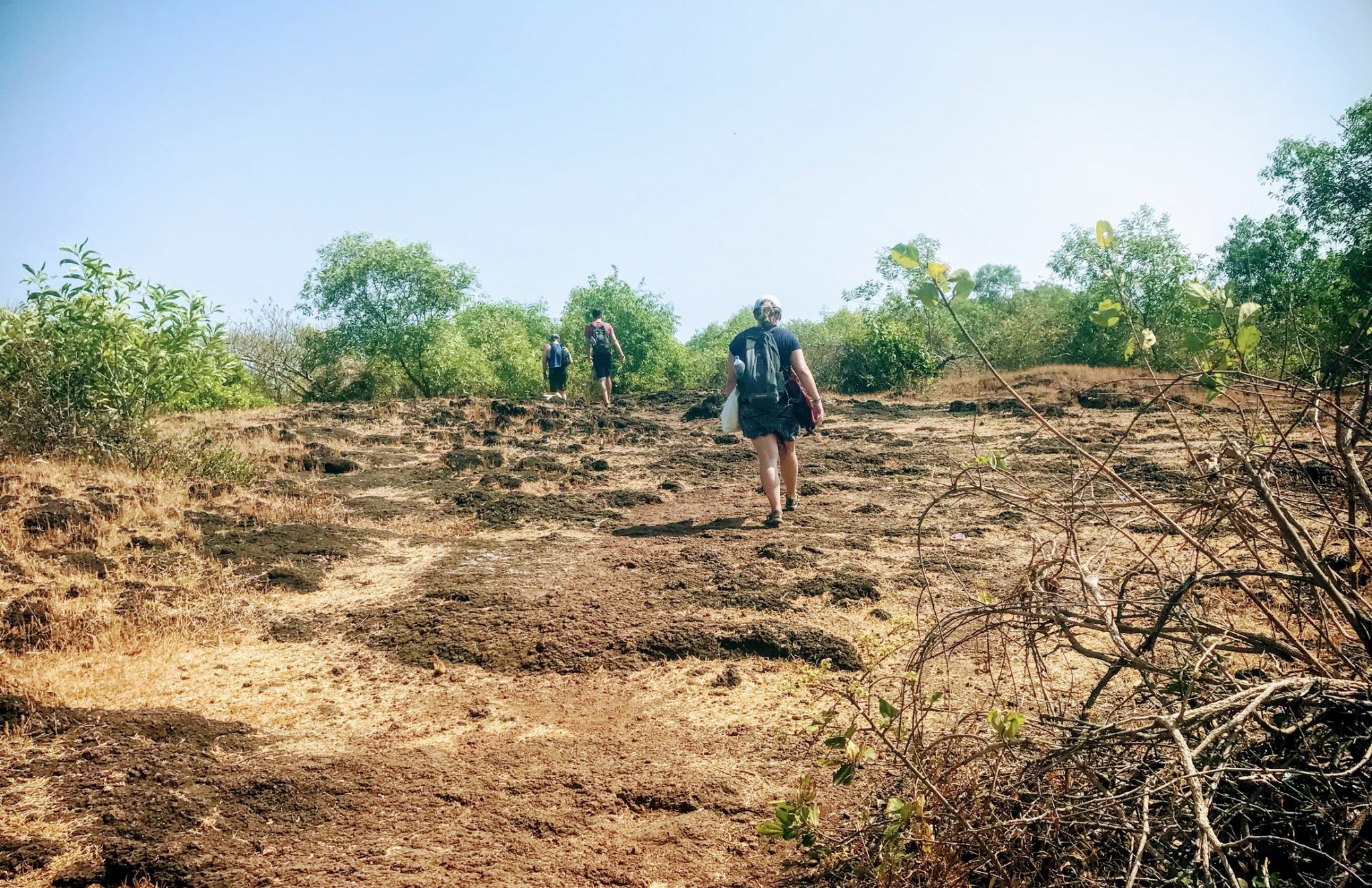 The path to Om Beach, Gokarna