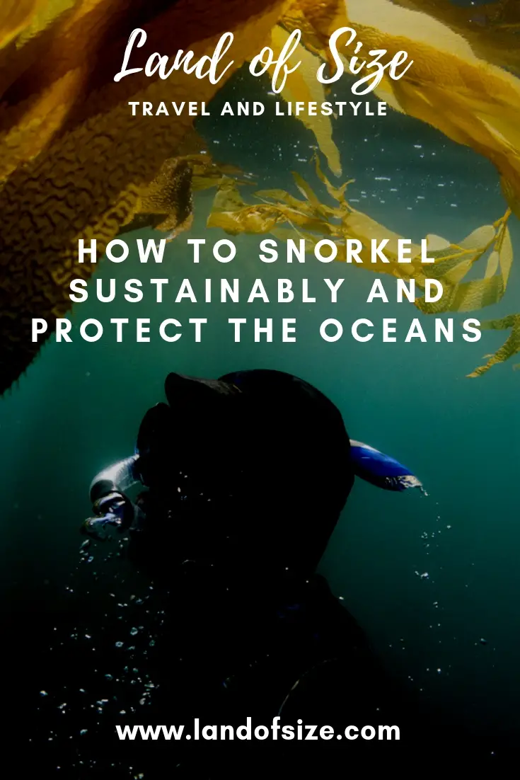 How to respect the reef: Safe sunscreen for snorkelling and other tips