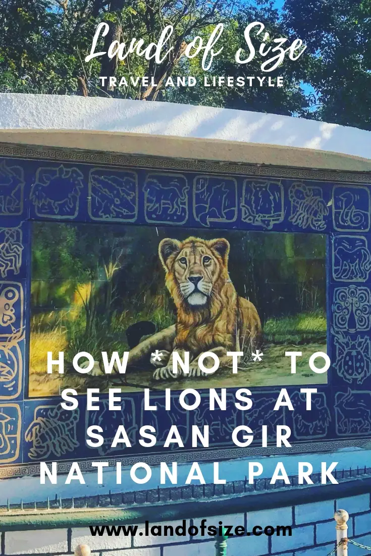 How not to see Asiatic lions at Sasan Gir National Park in Gujarat