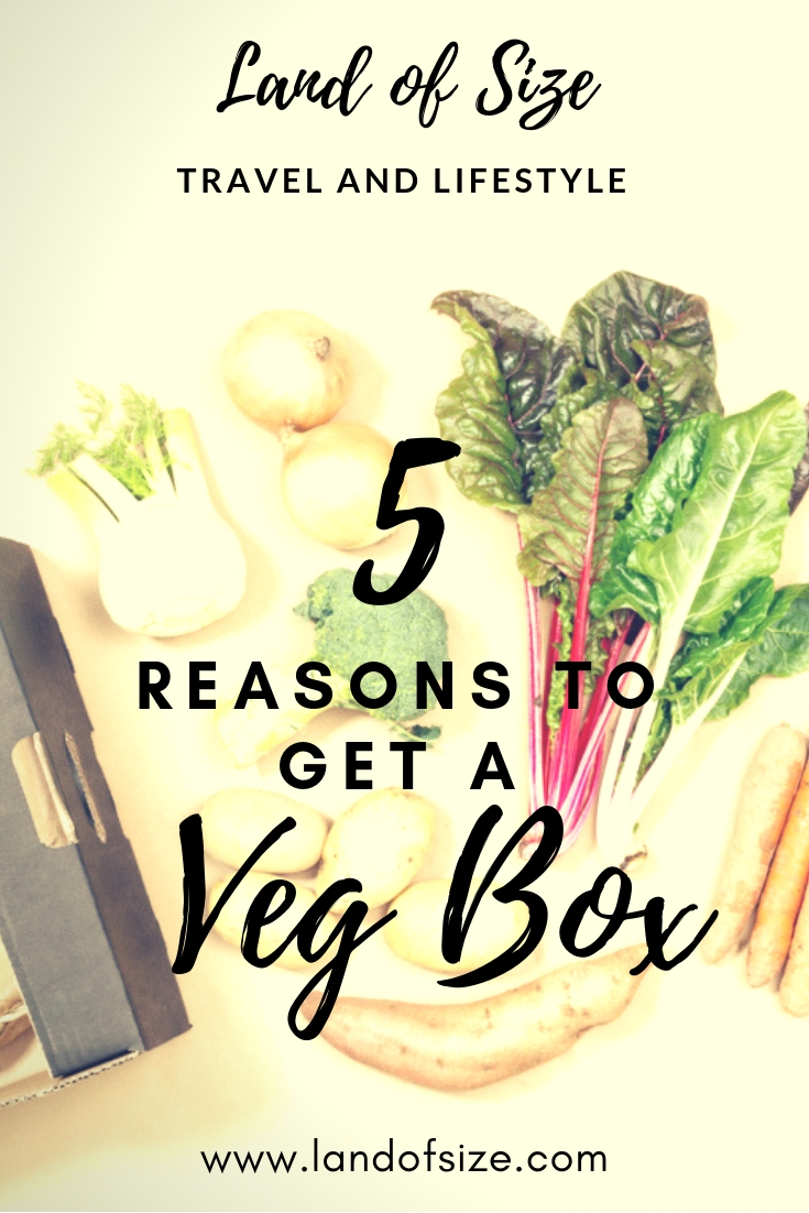 Why a veg box is one of the best ways to reduce your plastic waste