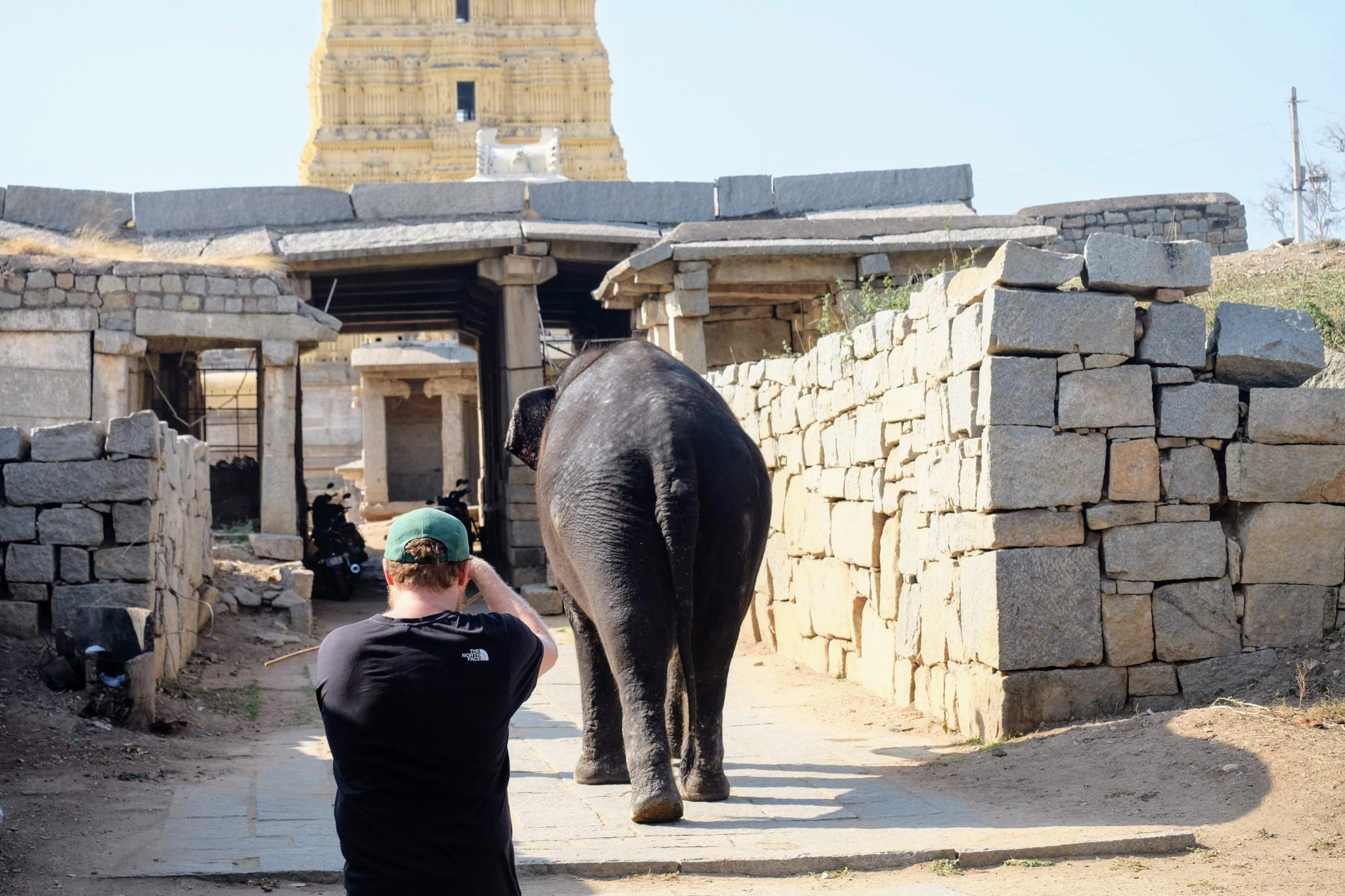 Lakshmi elephant in Virupaksha Temple in Hampi, India