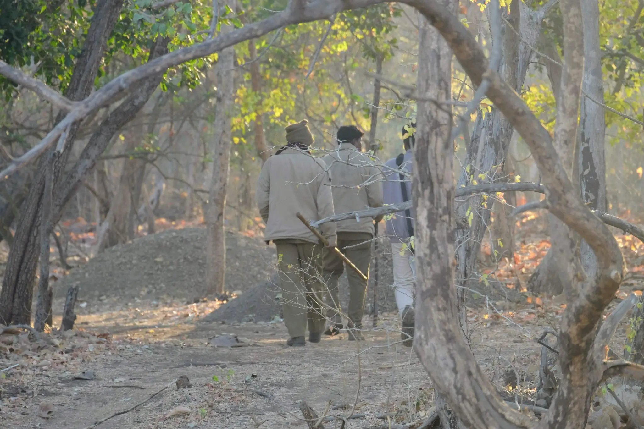 Spotters looking for lions at Gir National Park, Gujarat