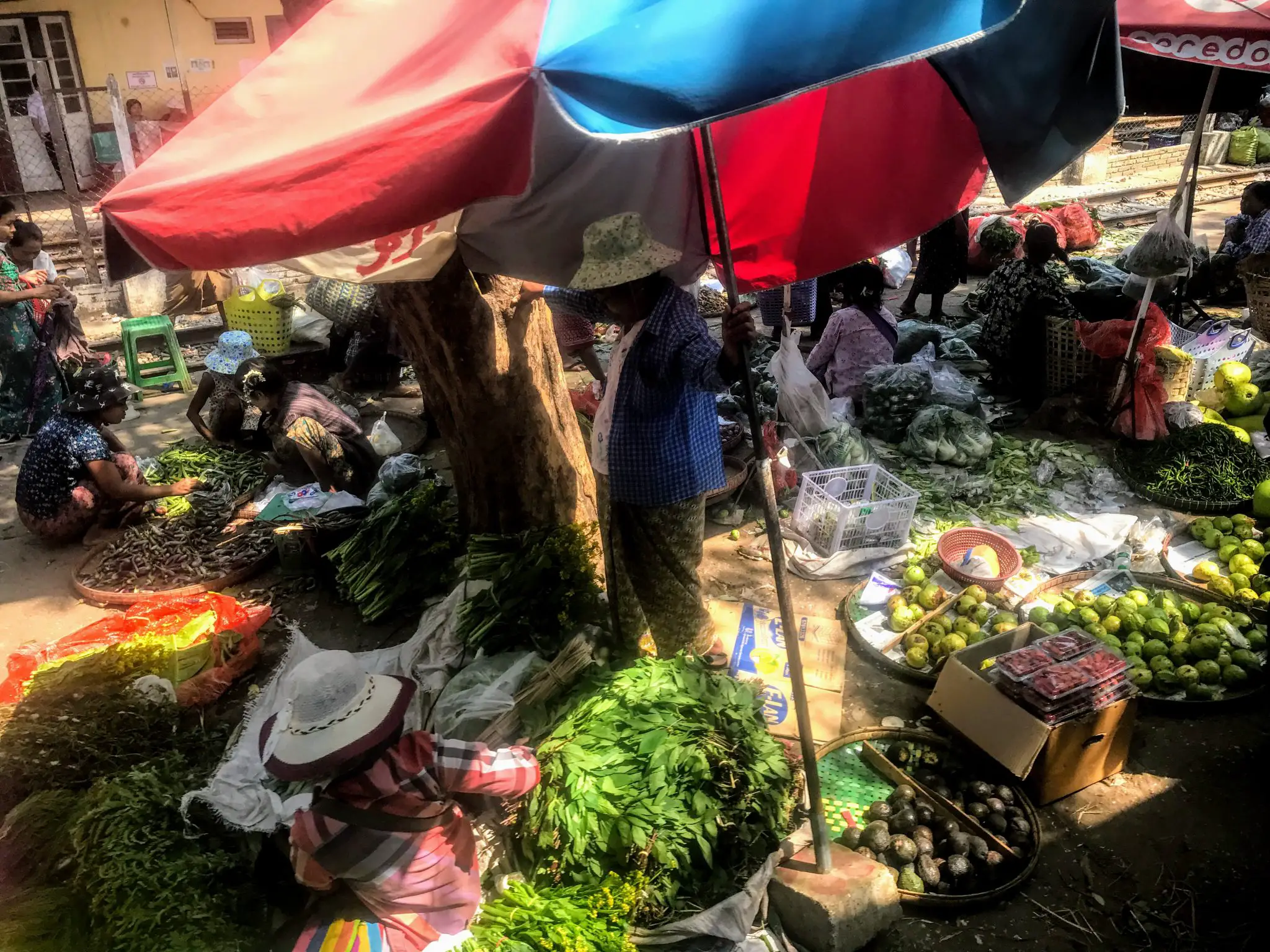 Produce market from the circle train, Yangon, Myanmar 