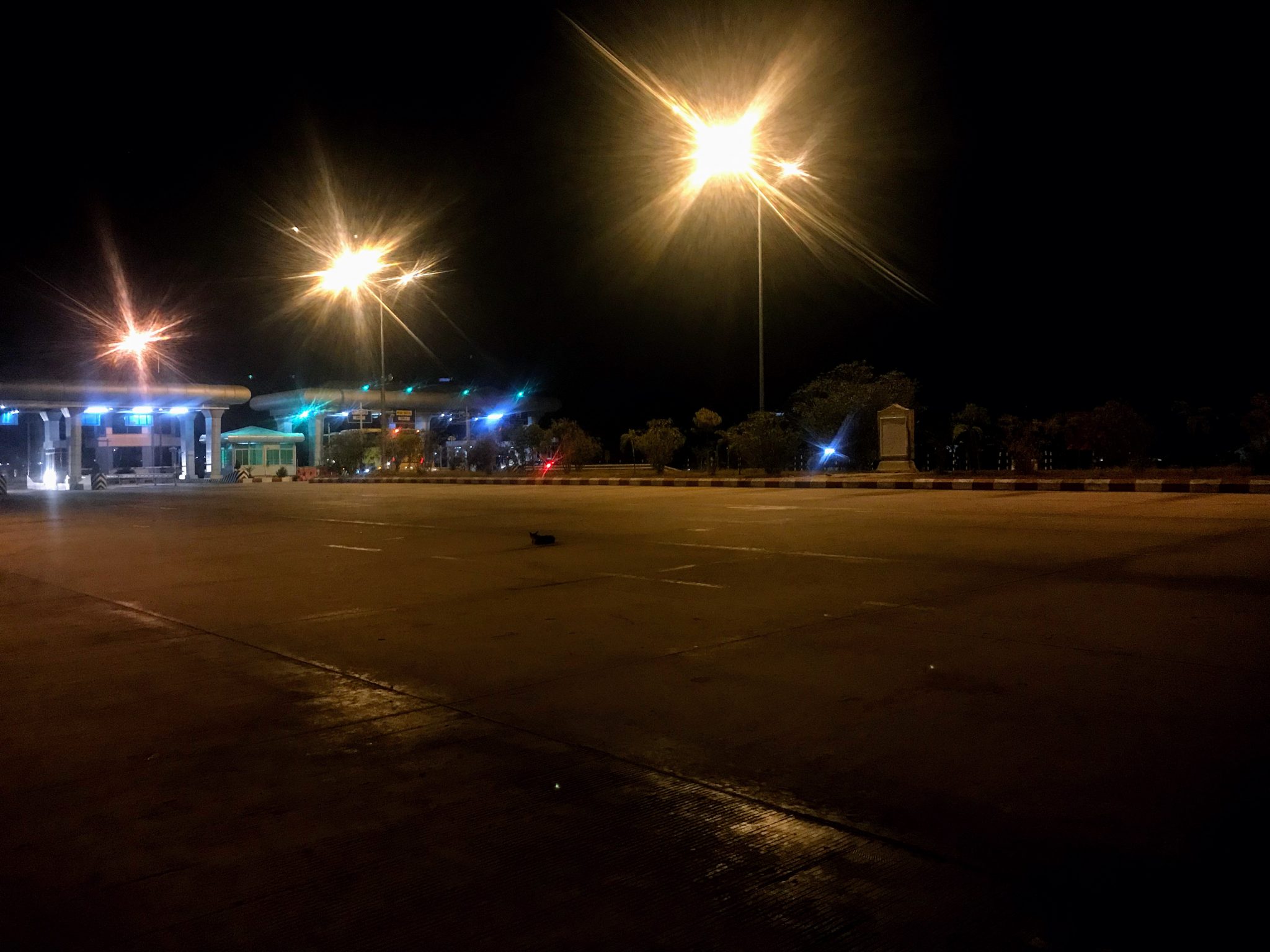 Dog sits on a deserted highway in Naypyitaw, Myanmar