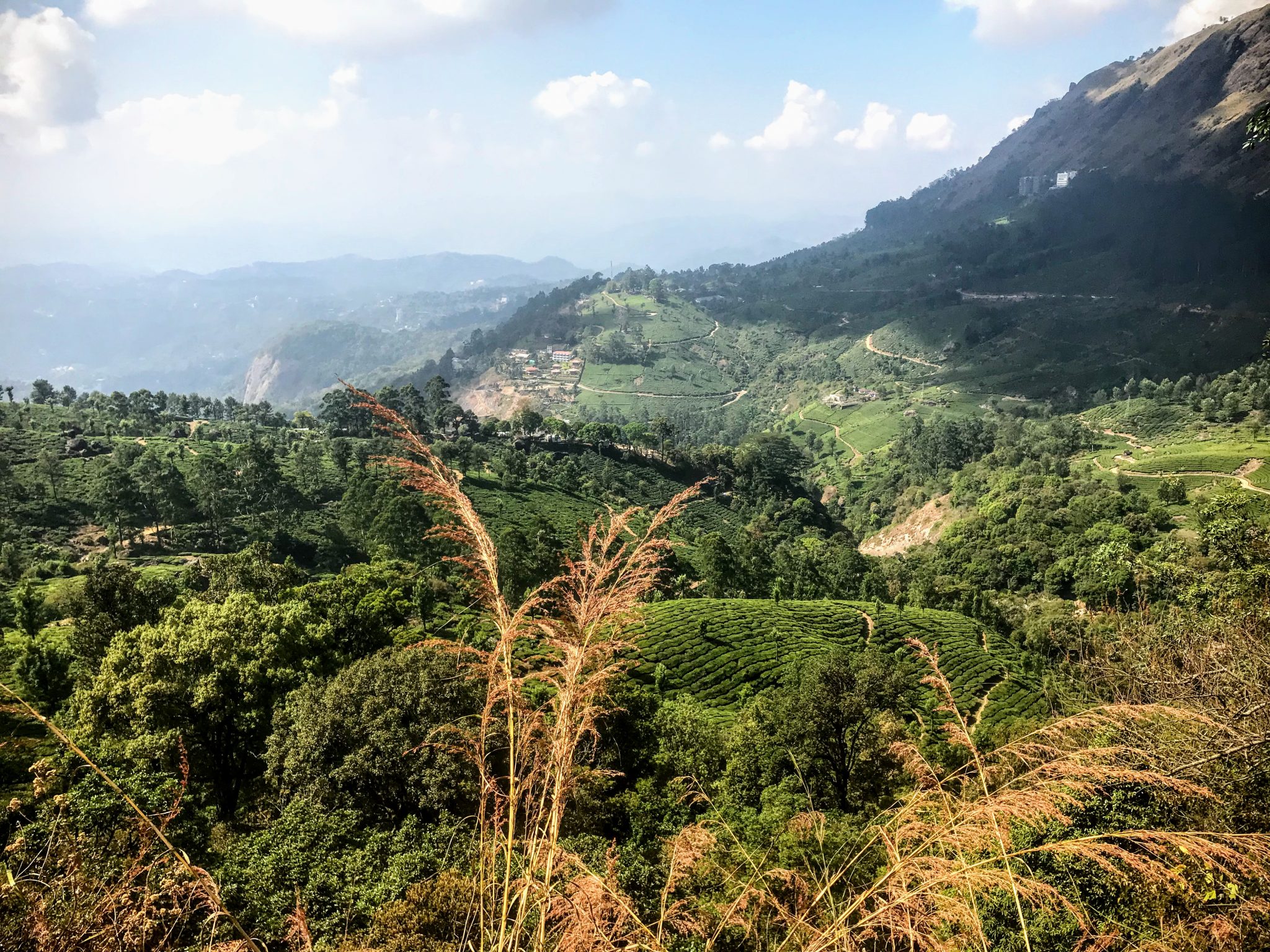 Viewpoint in Munnar, Kerala, South India