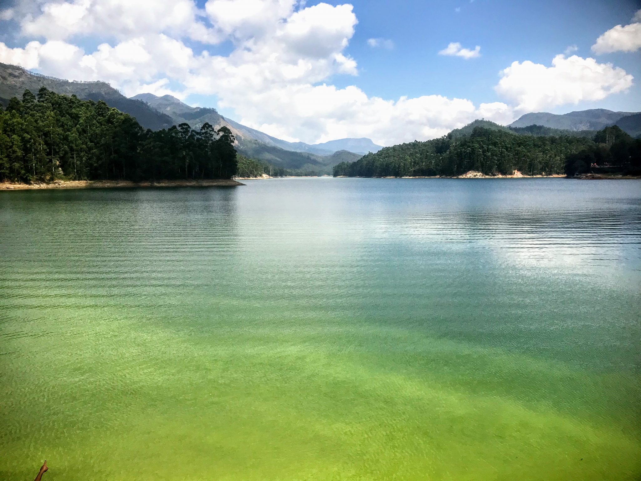 View from Mattupetty Dam, Munnar, South India