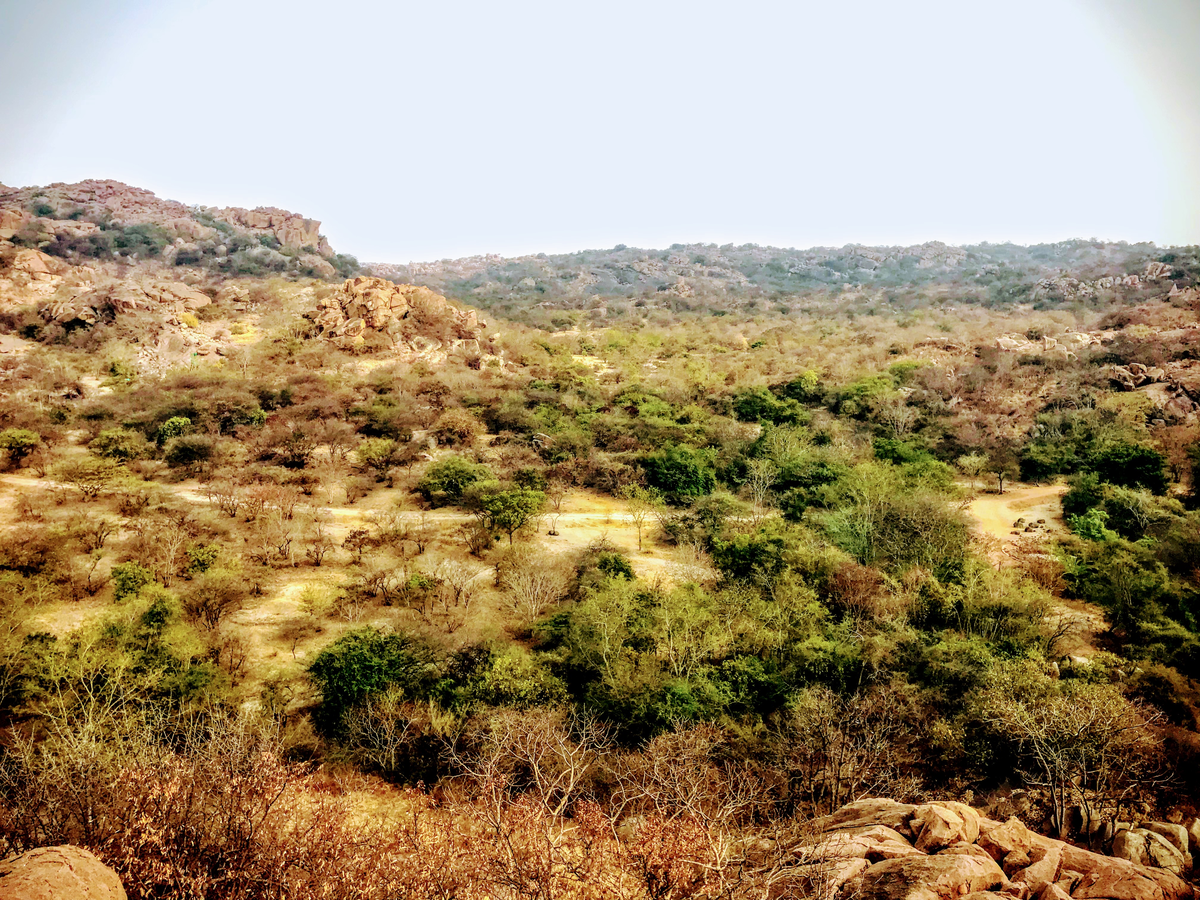 Daroji Sloth Bear Sanctuary, Hampi, South India