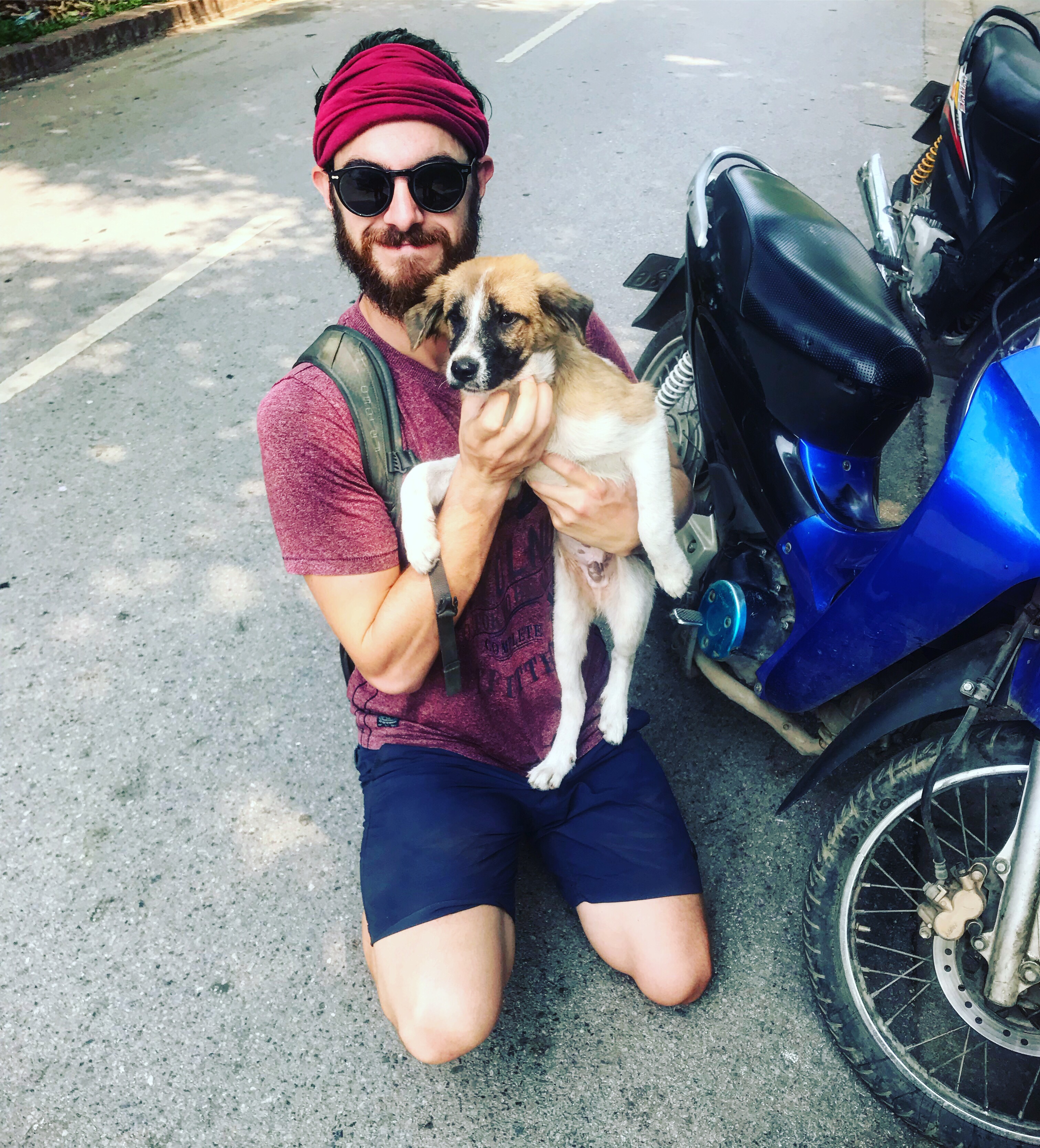 Traveller with a puppy, Luang Prabang, Laos