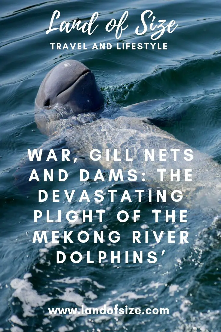 War, Gill Nets and Dams: The Devastating Plight of the Mekong River Dolphins
