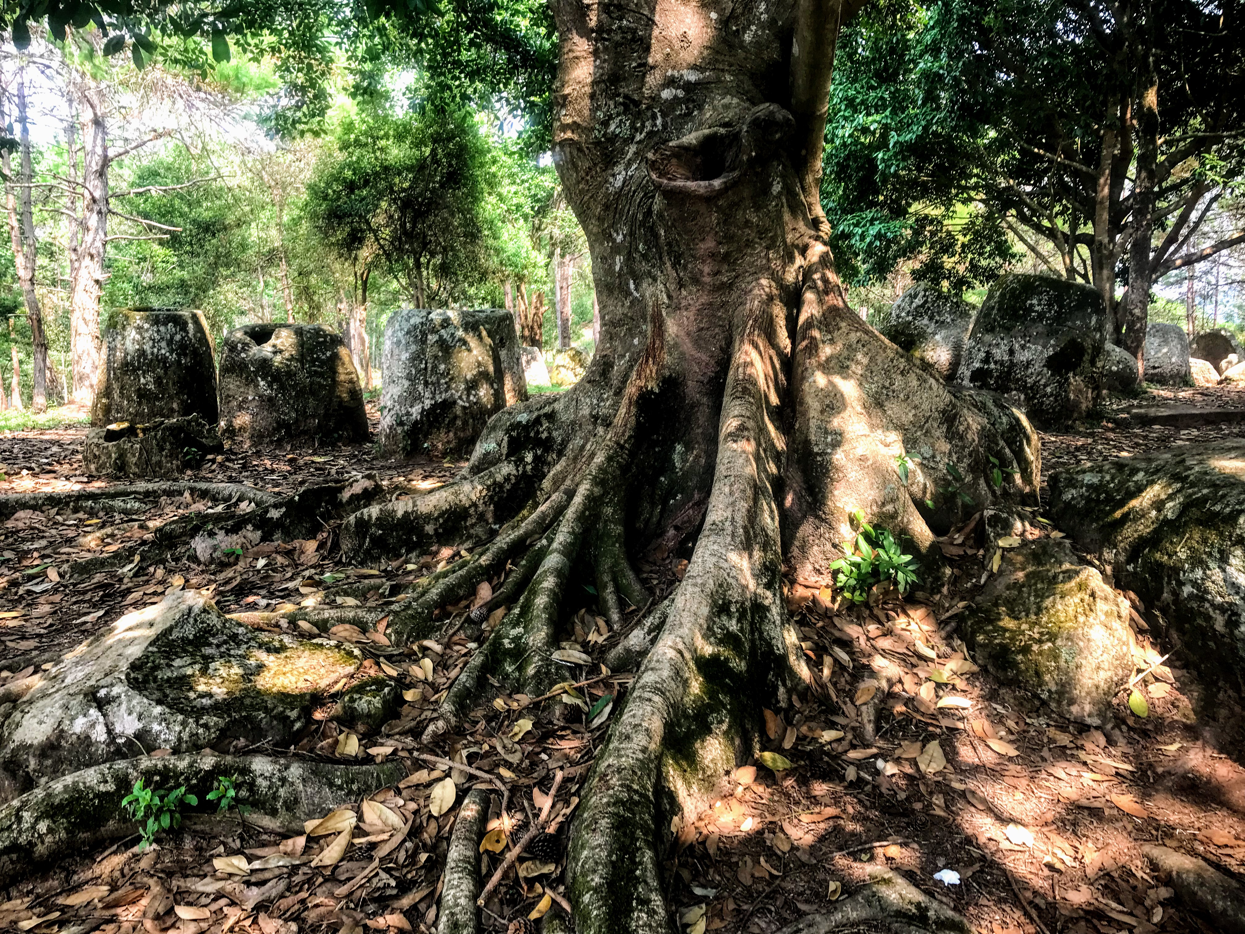 Plain of Jars Site 2, Phonsavan, Laos