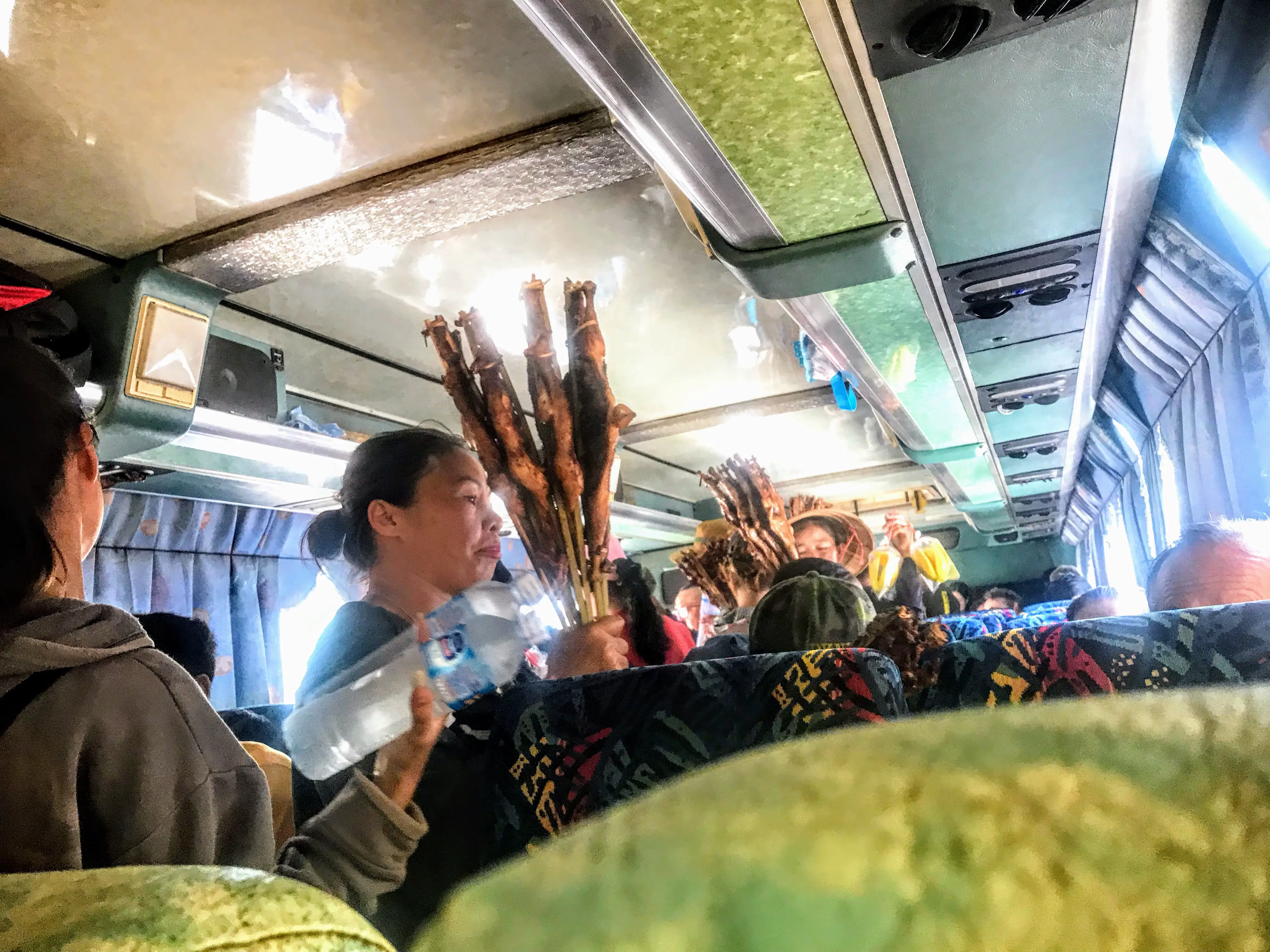 Women selling spatchcock chicken on the bus, Laos