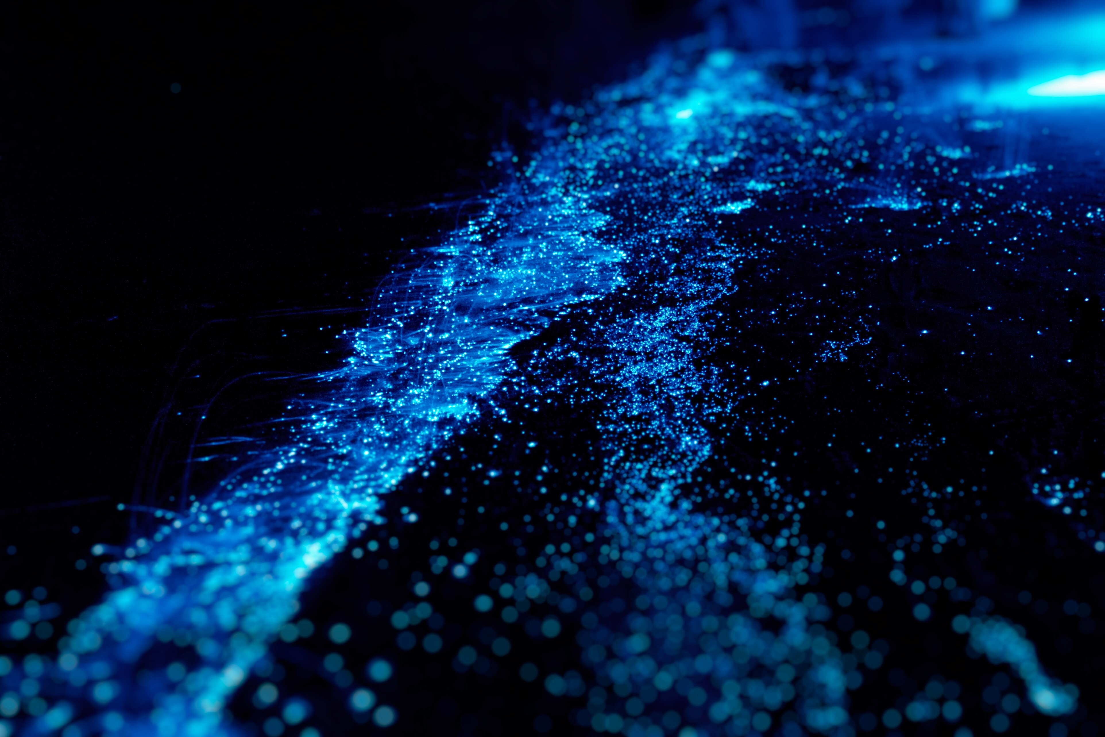 Bioluminescence in the ocean, iStock