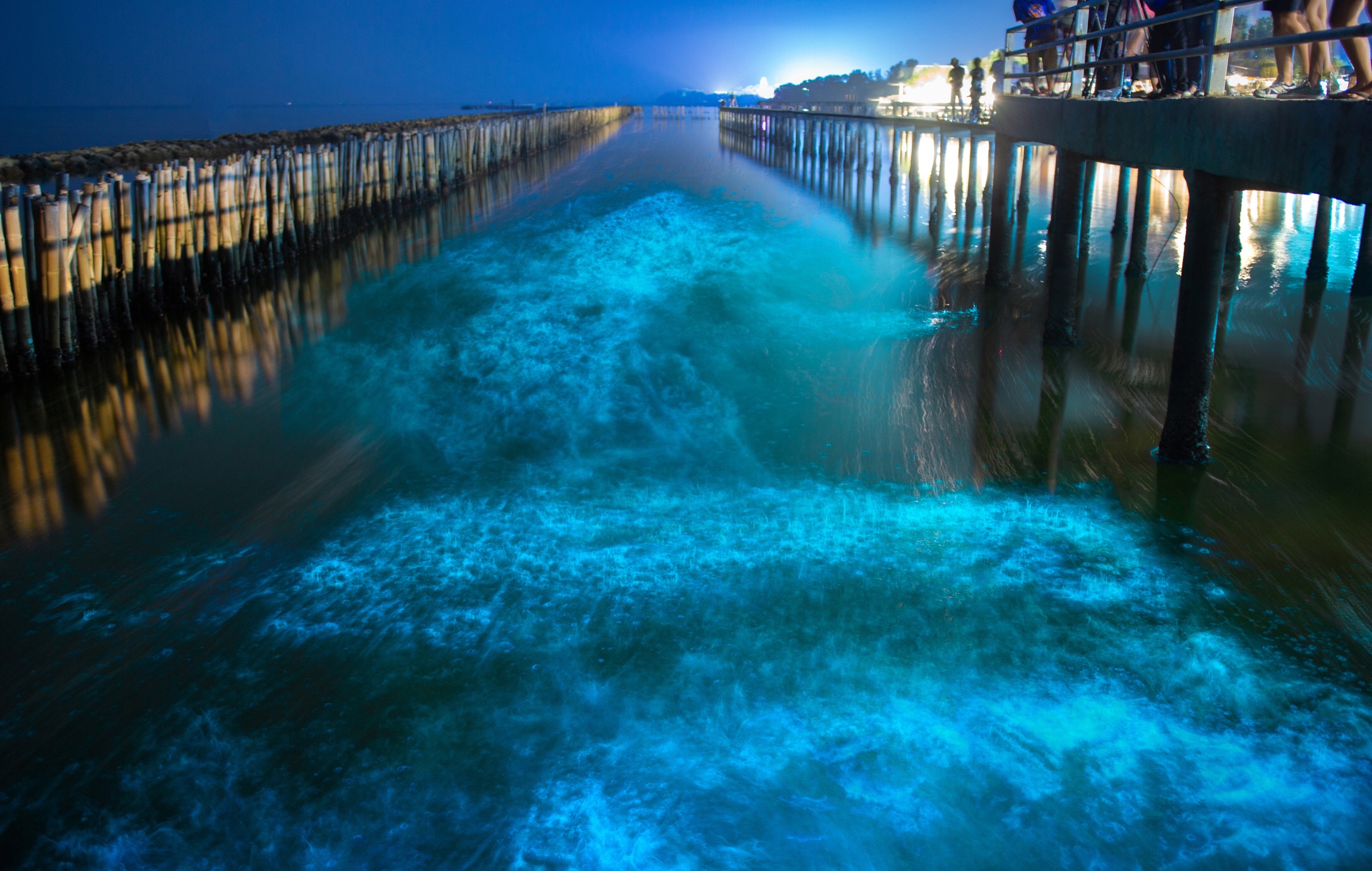 Bioluminescence in the ocean, iStock