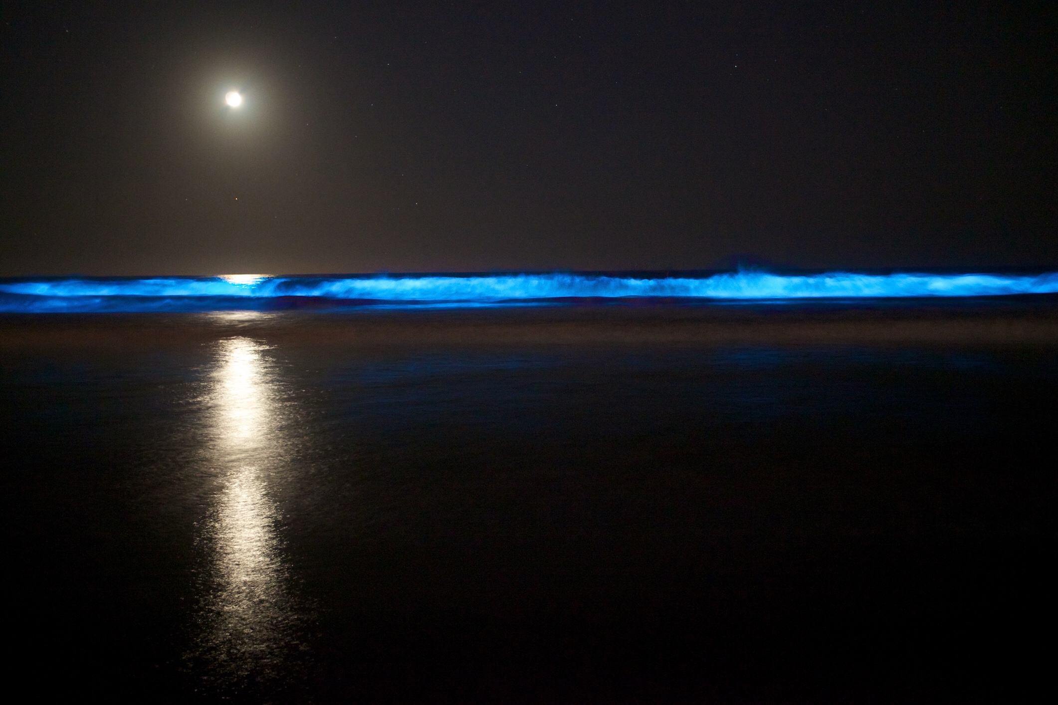 Bioluminescence in the ocean, iStock