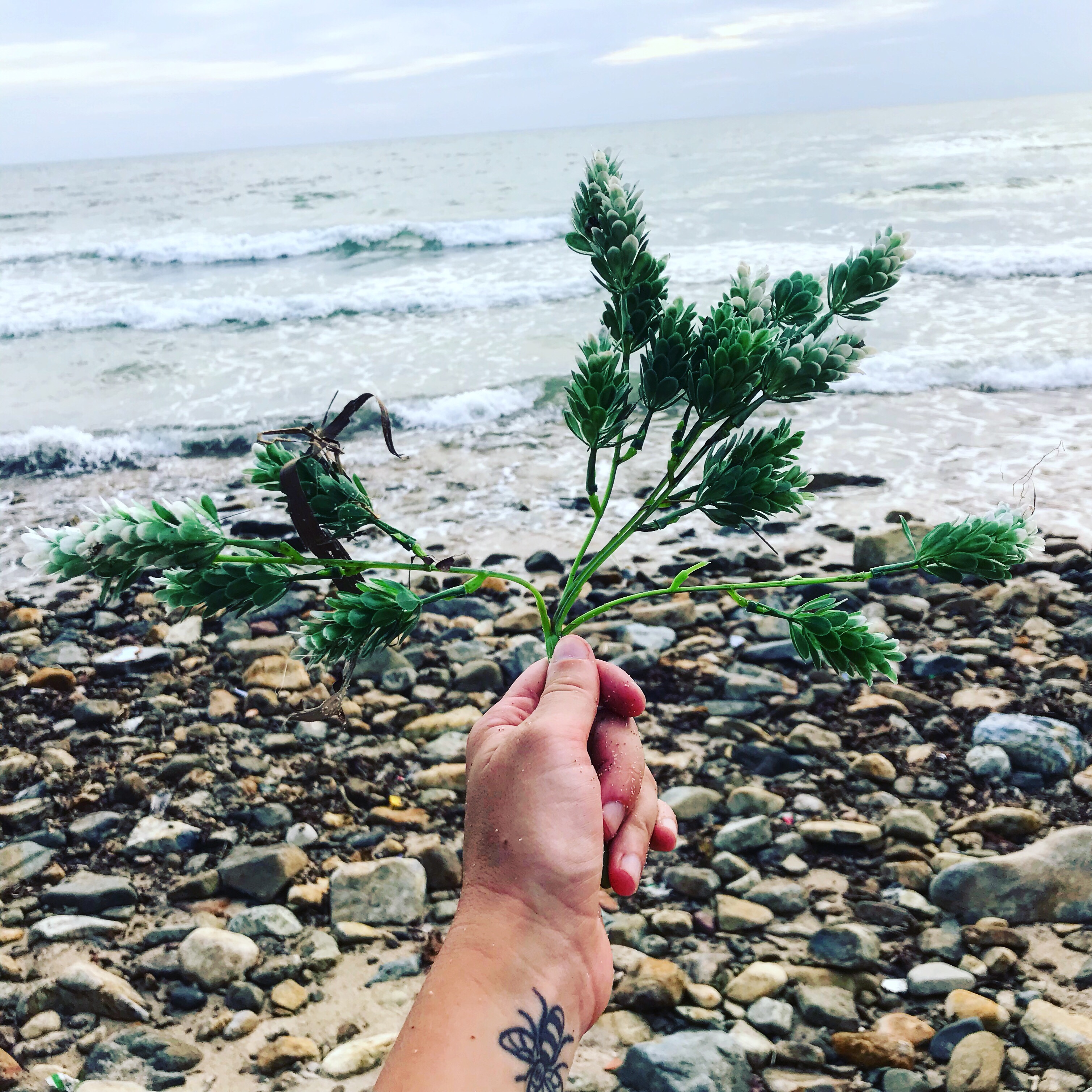 Plastic tree on Lonely Beach, Koh Chang, Thailand 