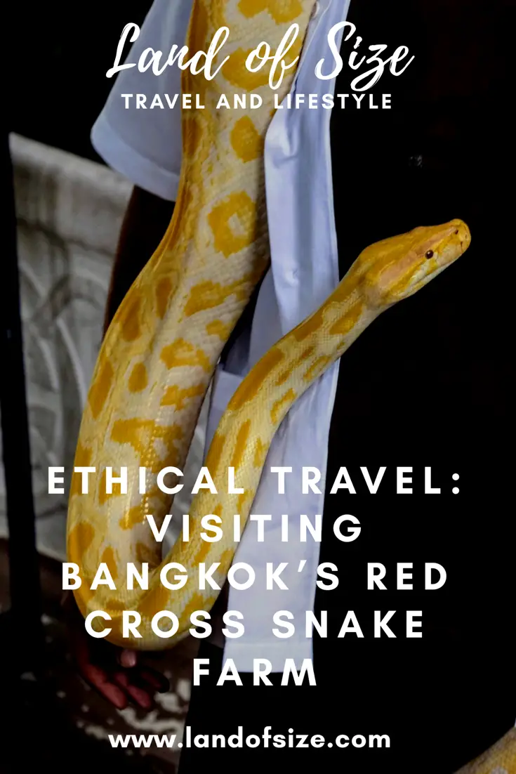 Ethical Travel: Visiting Bangkok’s Red Cross Snake Farm