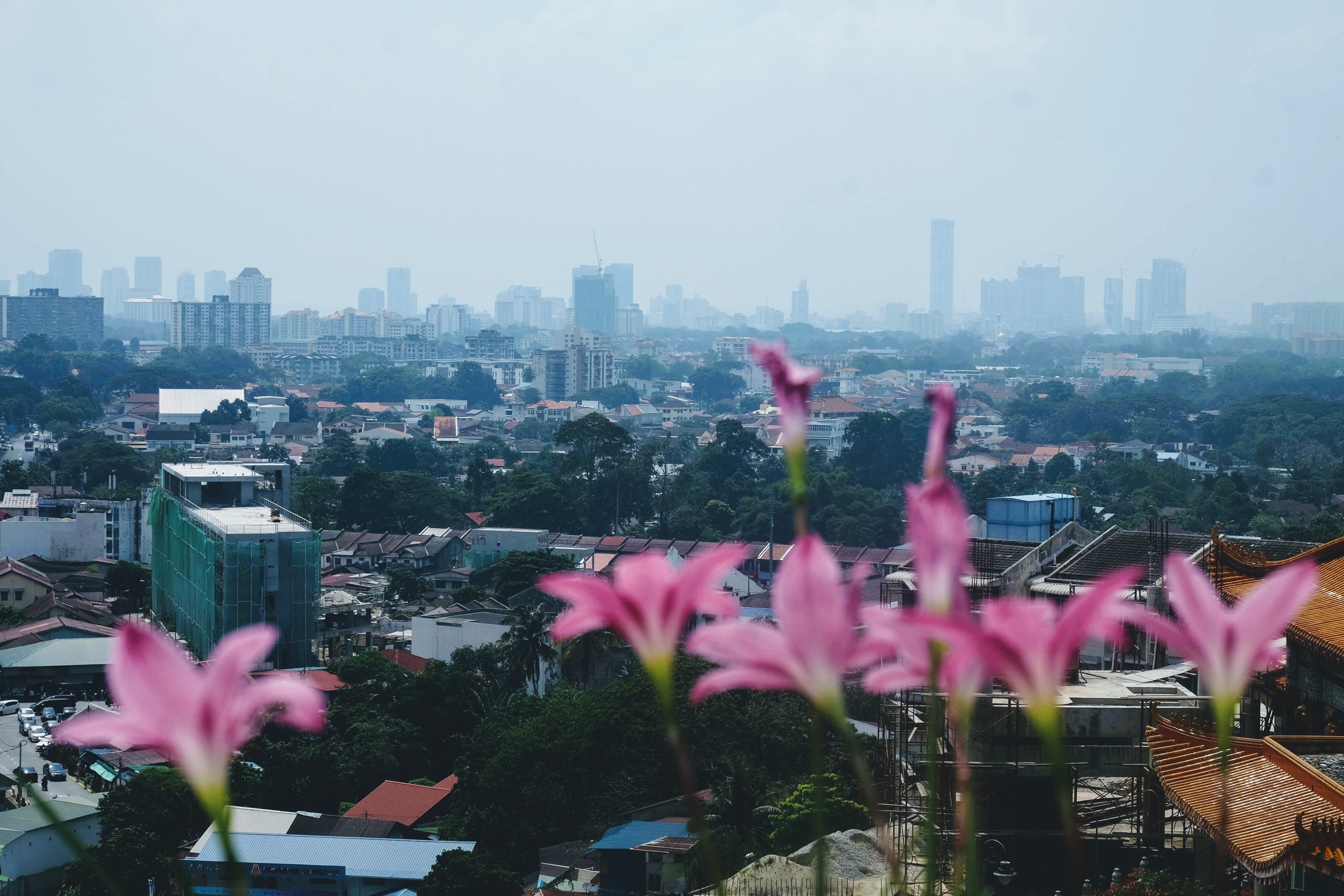 View from Kek Lok Si Temple, Penang, Malaysia 