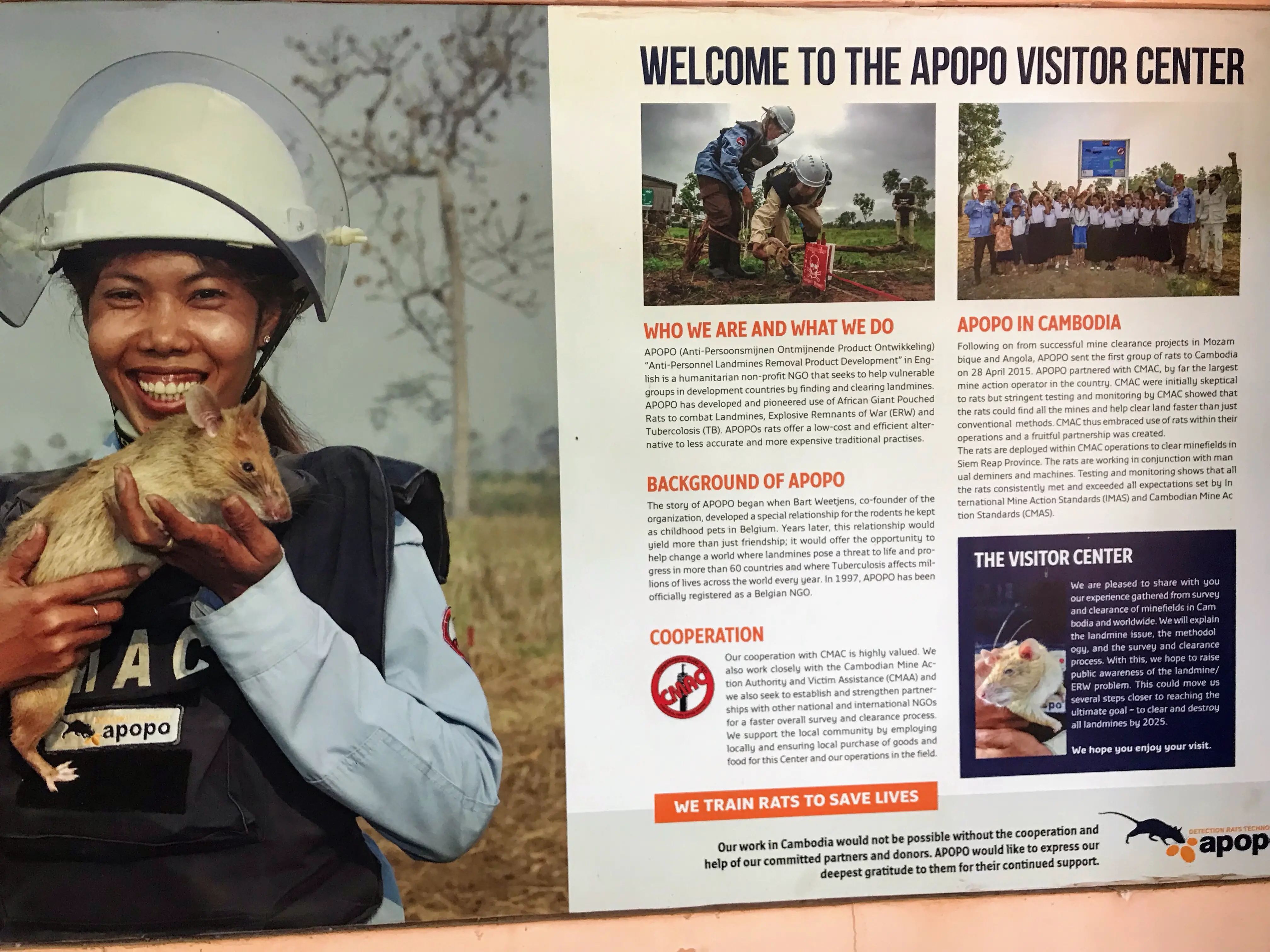 APOPO visitor centre, Siem Reap, Cambodia 