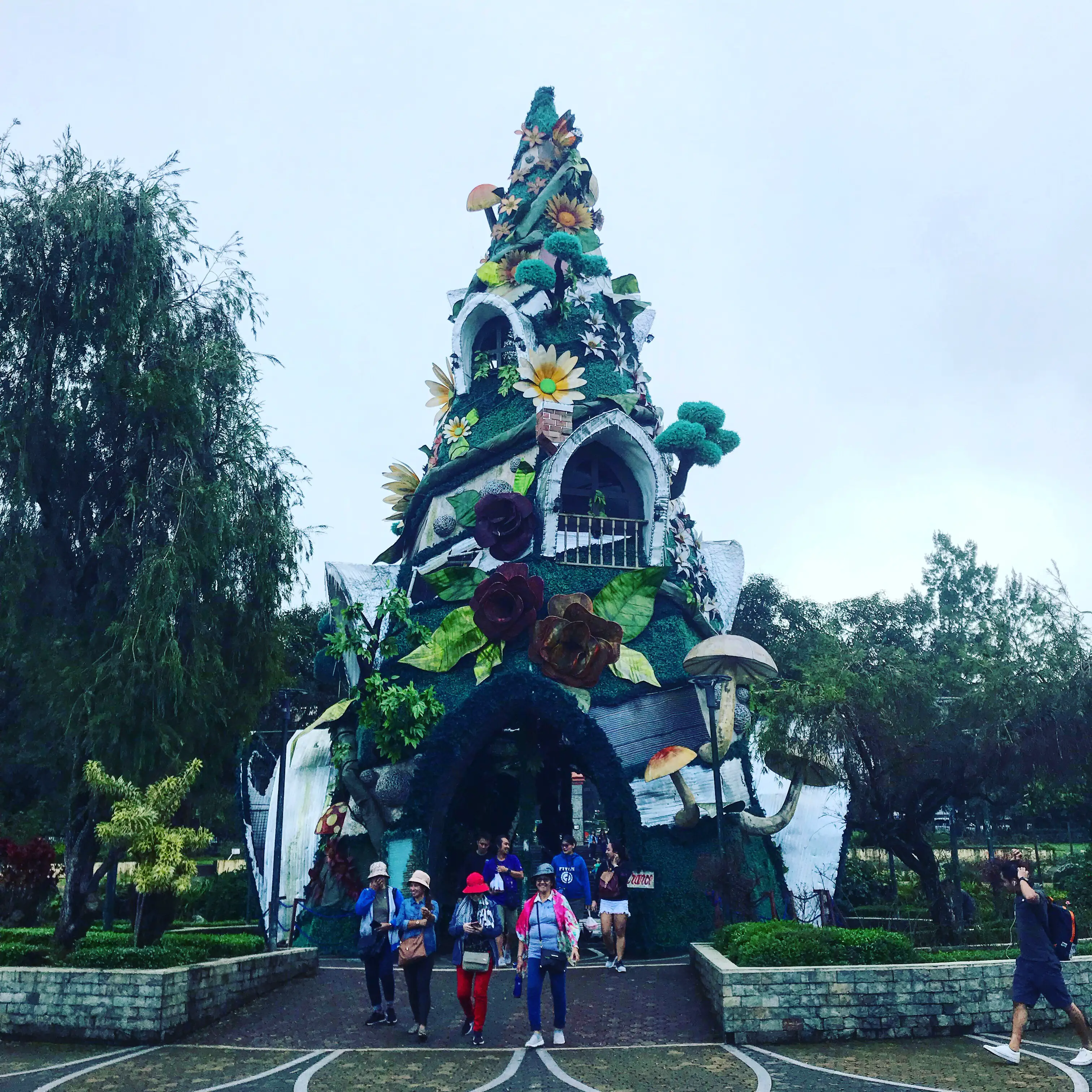 Christmas tree in Baguio Park, Philippines