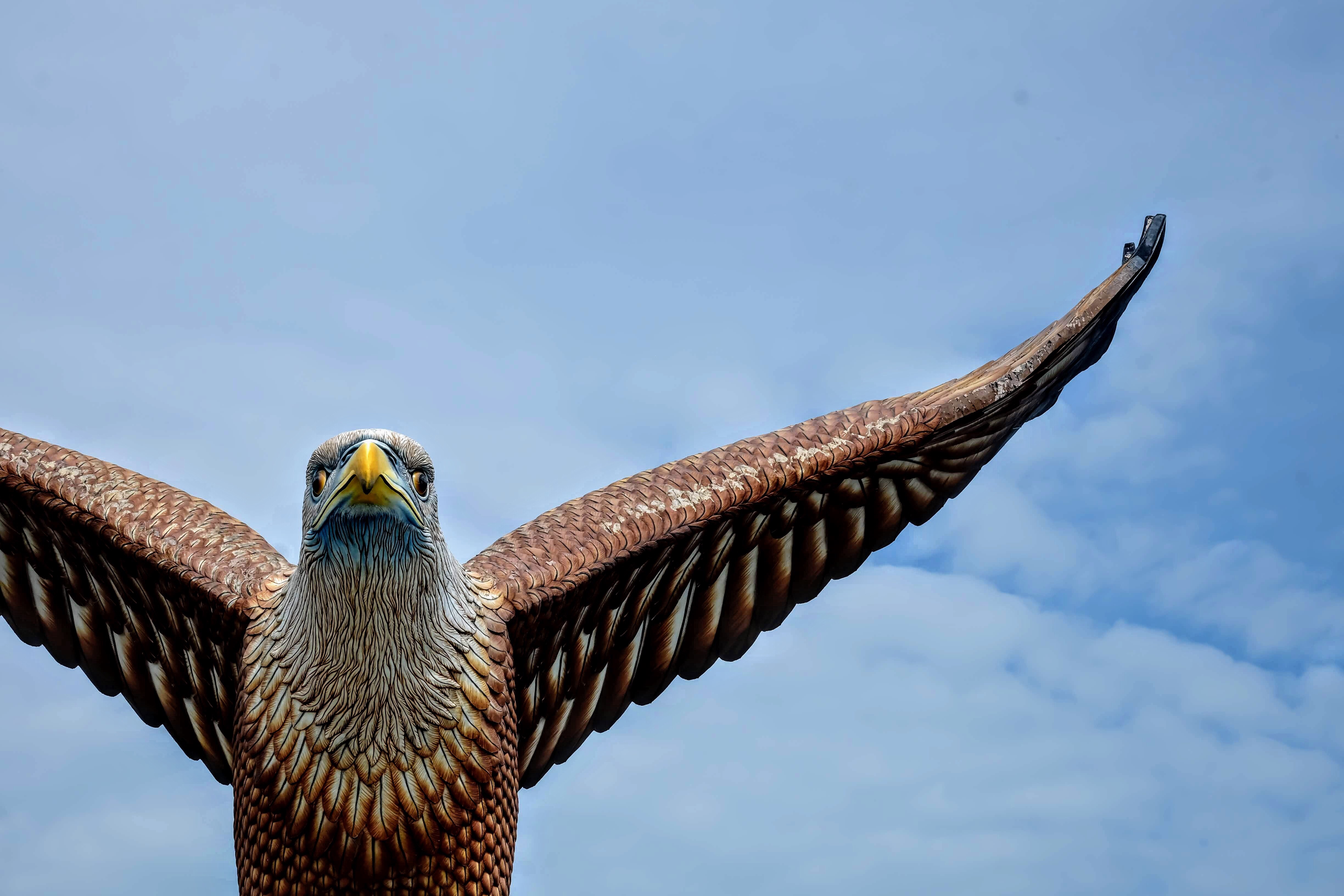 Brahminy kite statue, Kuah, Langkawi Island