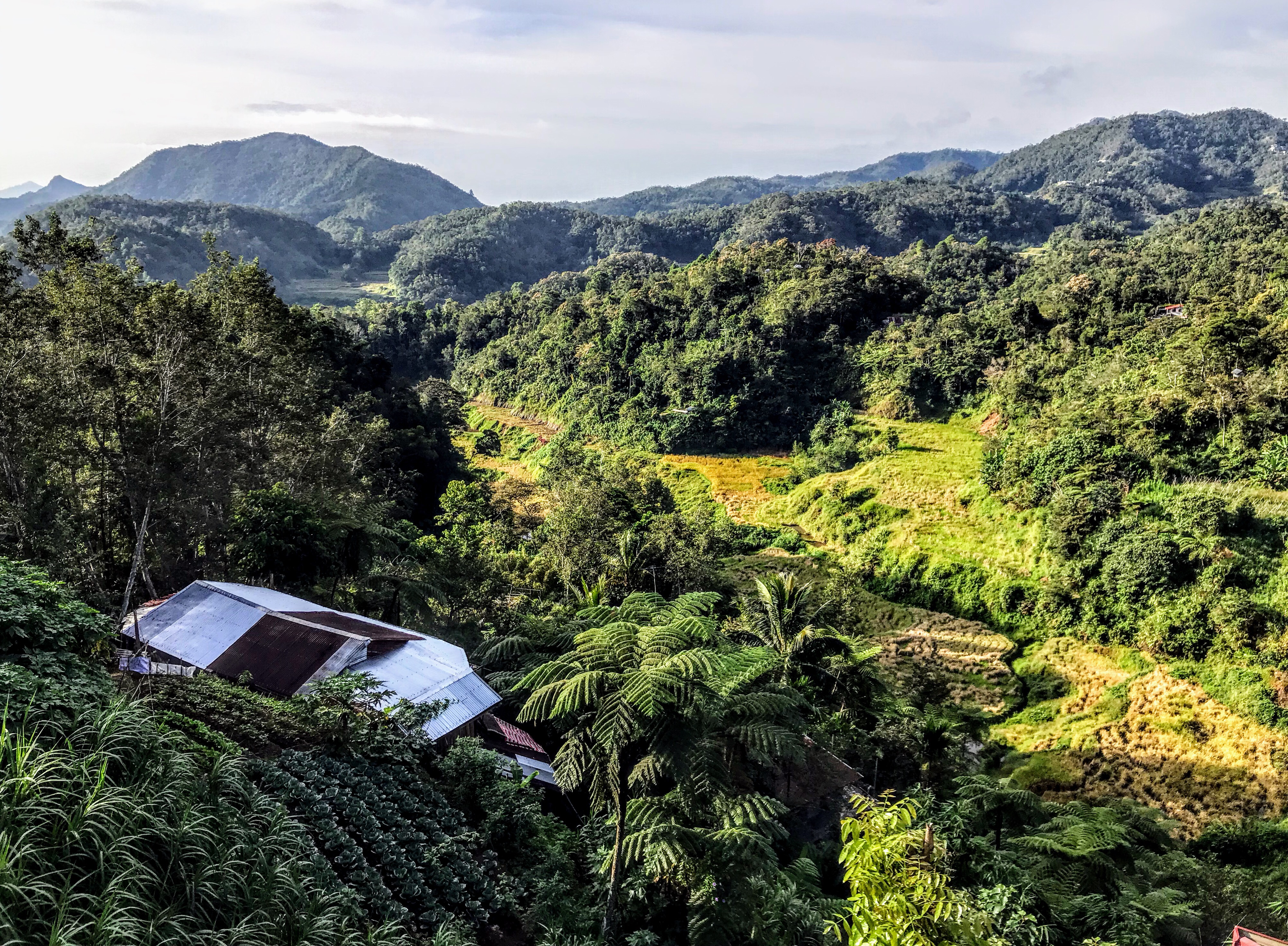 View from Banaue Evergreen Hostel, Banaue, Philippines