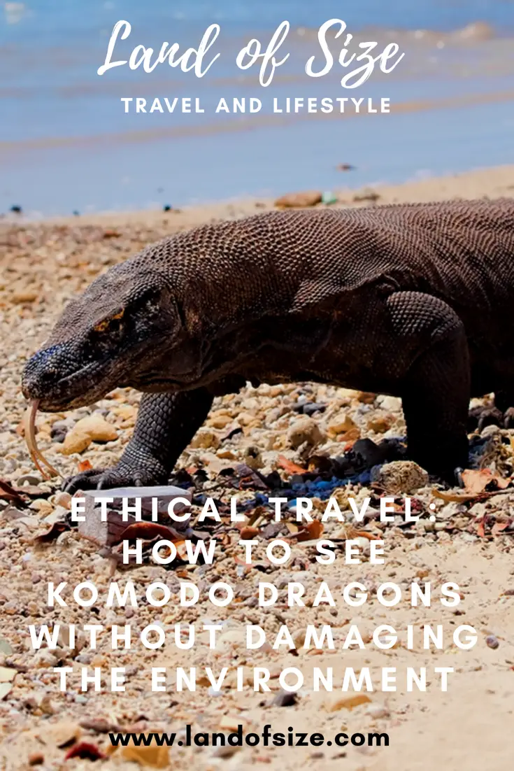 Ethical Travel: How to see Komodo dragons without damaging the environment