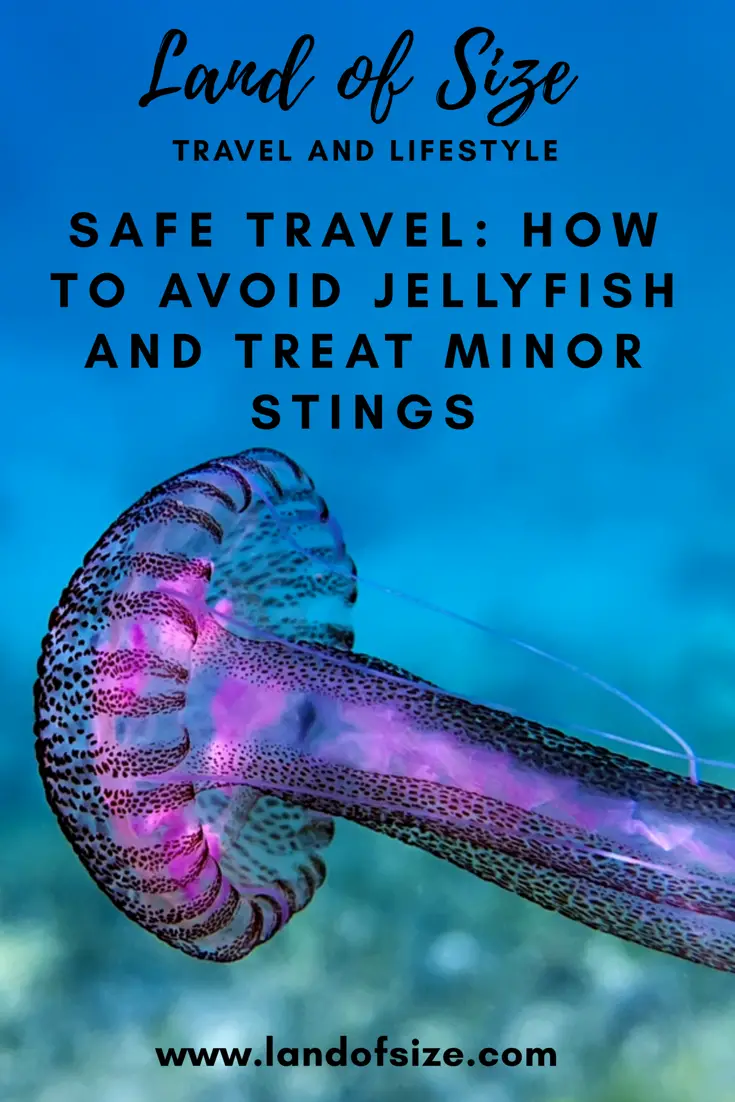 Safe Travel: How to avoid jellyfish and treat minor stings