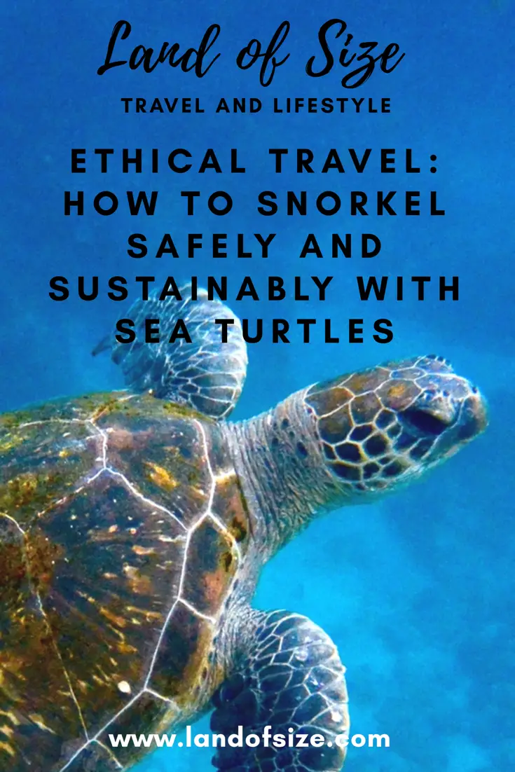 Ethical Travel: How to snorkel safely and sustainably with sea turtles